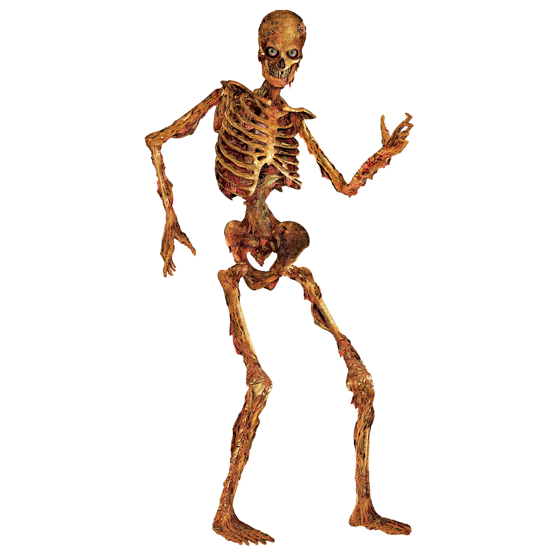 Jointed Skeleton (Pack of 12)