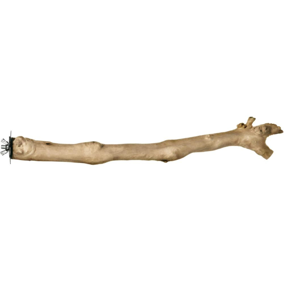 18' Branch Coffea Wood Bird Perch