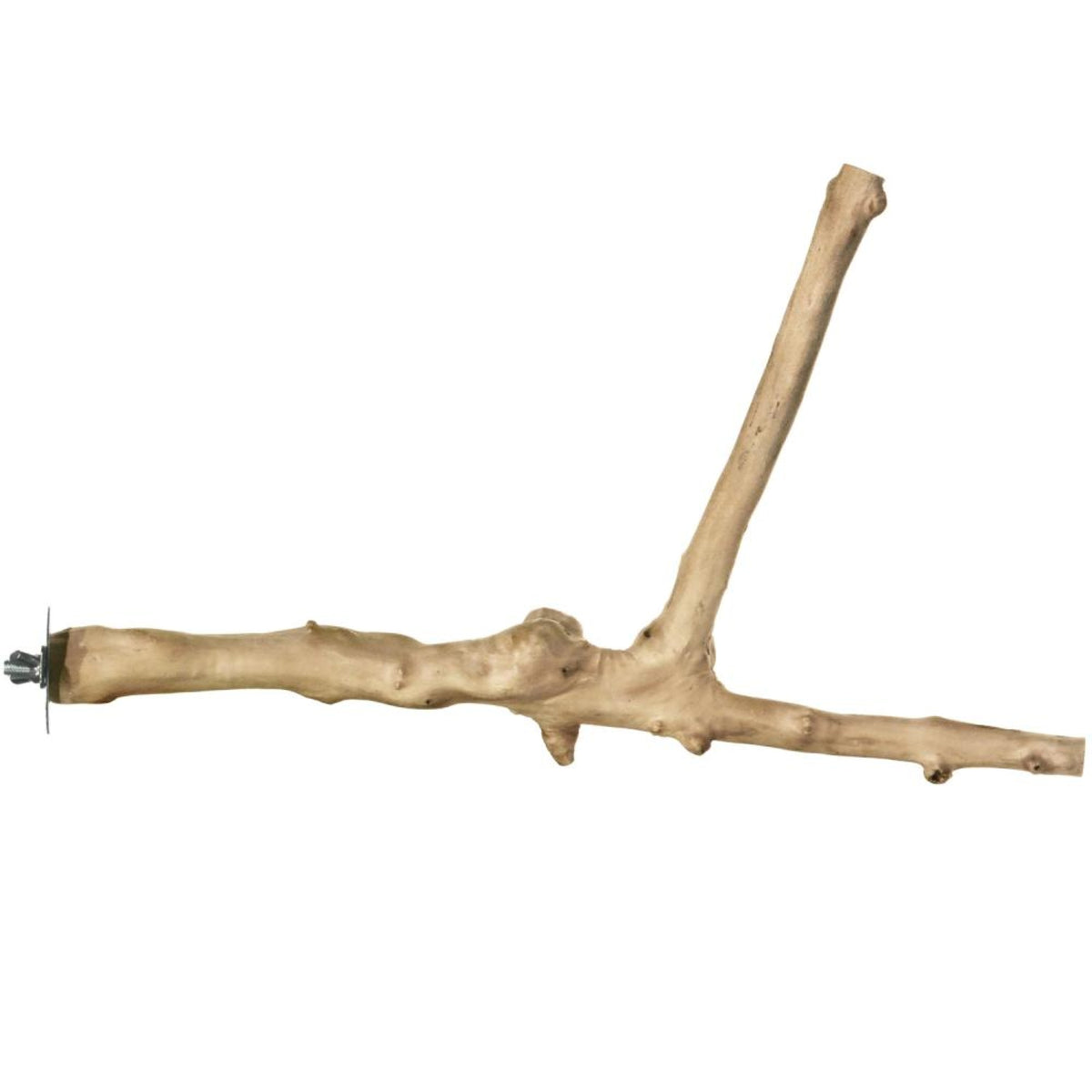 18' Y-Branch Coffea Wood Bird Perch