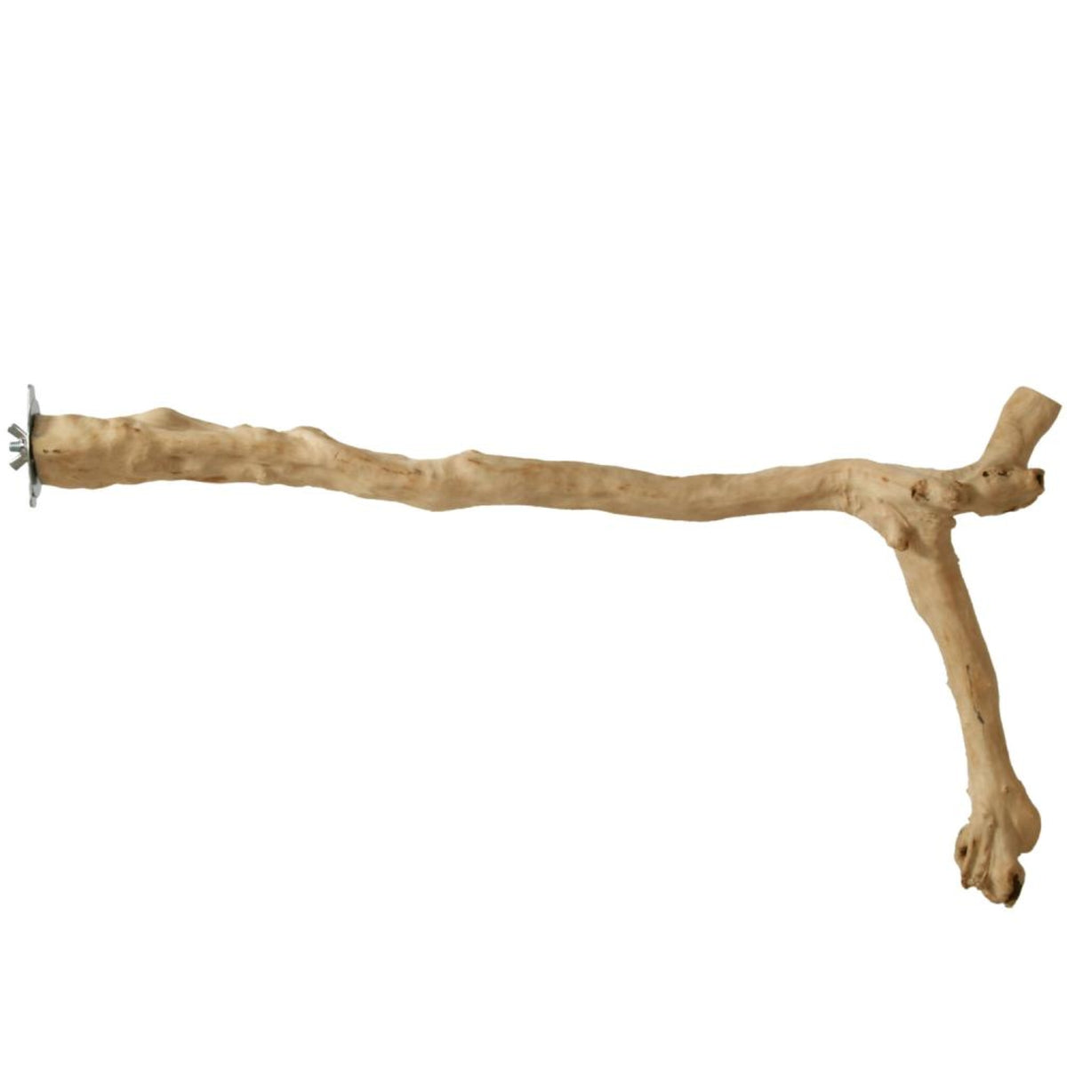 24' Y-Branch Coffea Wood Bird Perch