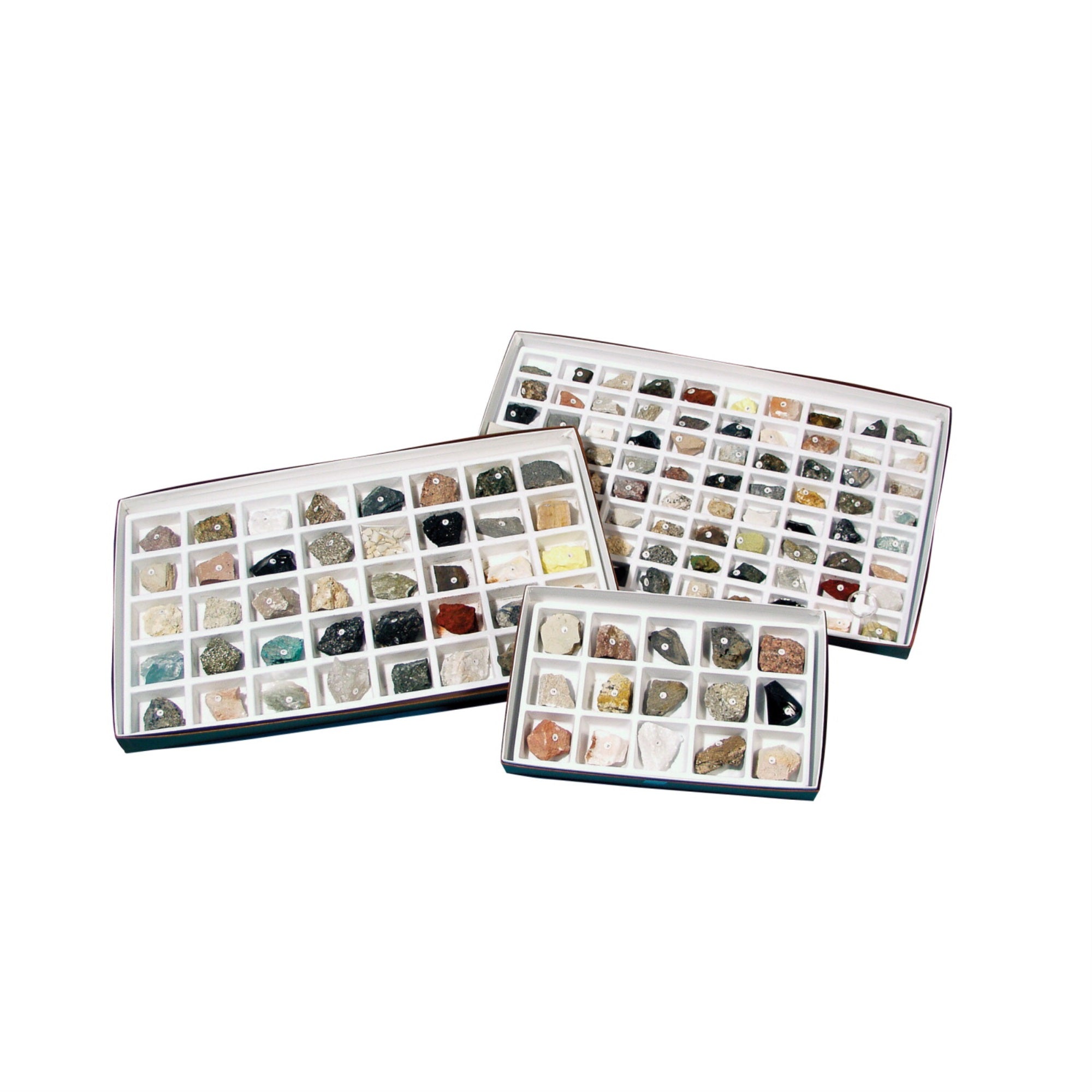 Washington School Rock Collection
