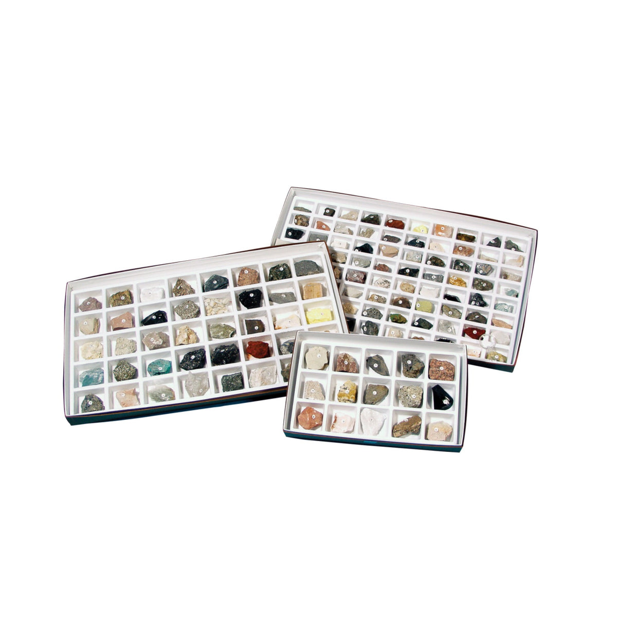 Washington School Rock Collection