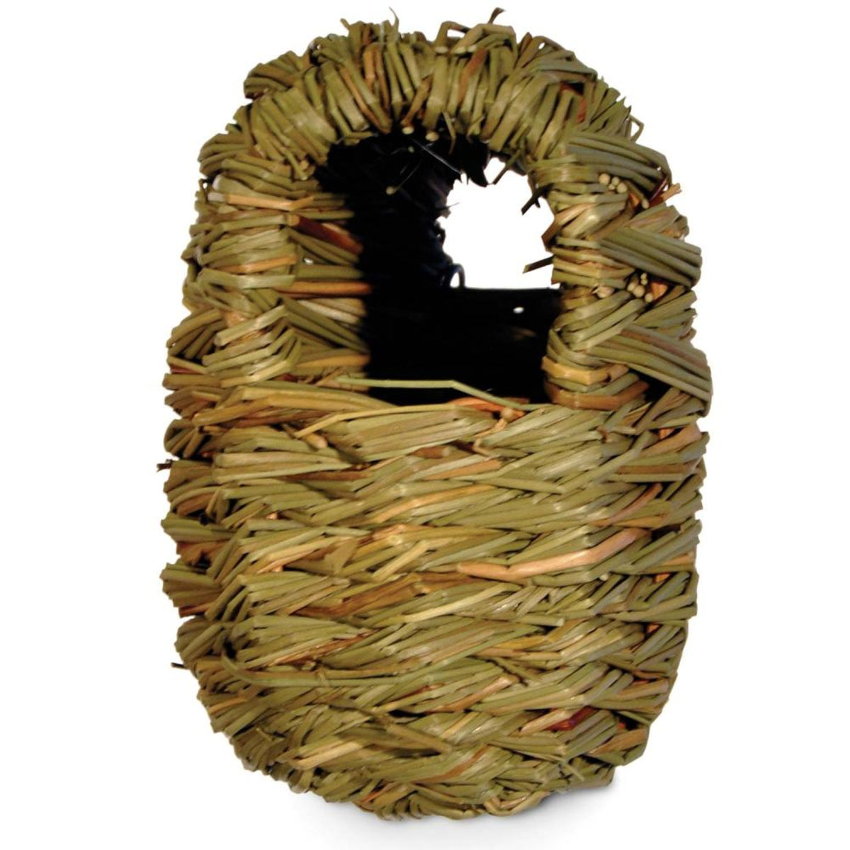 Finch Covered Nest