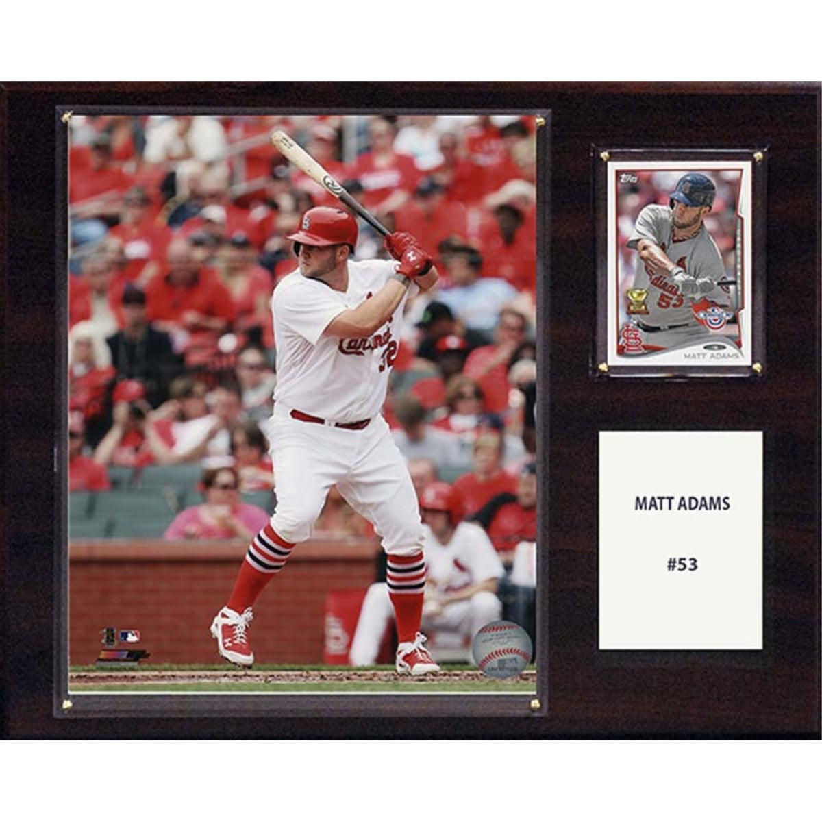 Mlb 12X15 Matt Adams St. Louis Cardinals Player Plaque