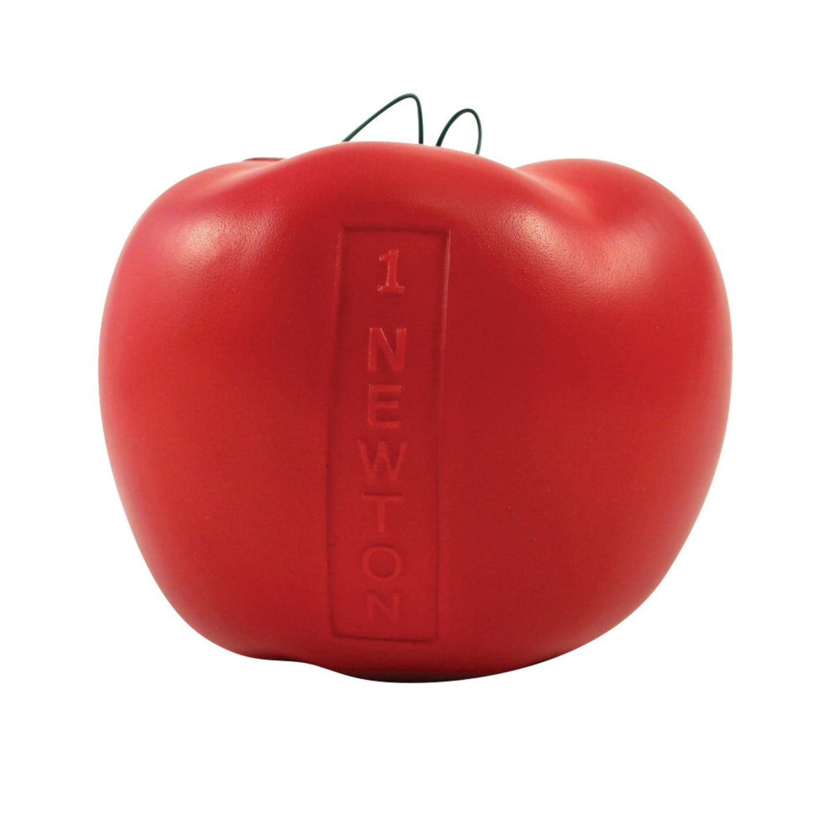 Delta Education Newton'S Apples, Pack Of 6