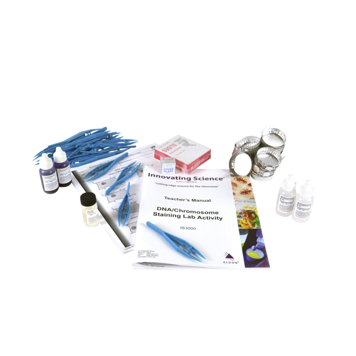Innovating Science Dna And Chromasome Staining Kit