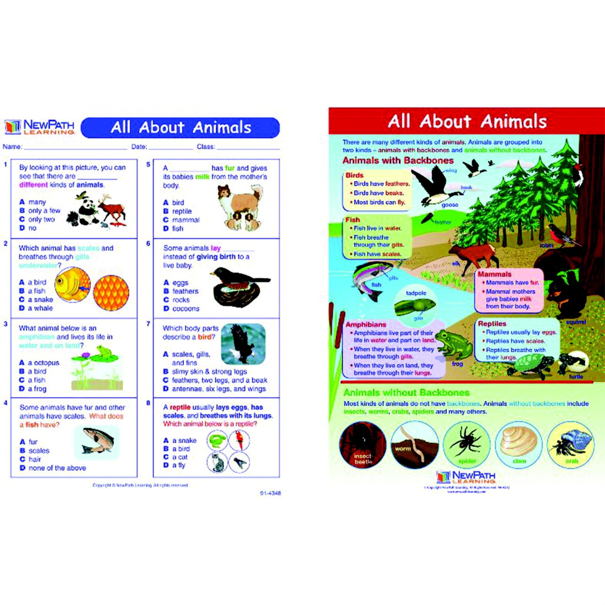 Newpath Science Visual Learning Guides, Grade 2
