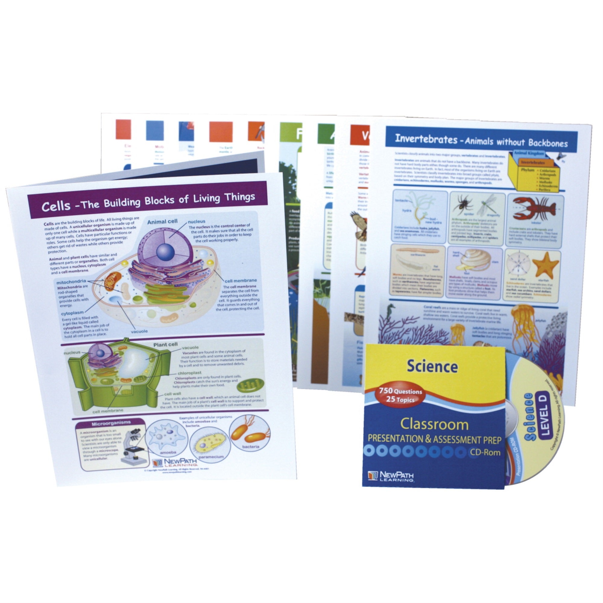 Newpath Visual Learning Guides Science Set, Grade 4