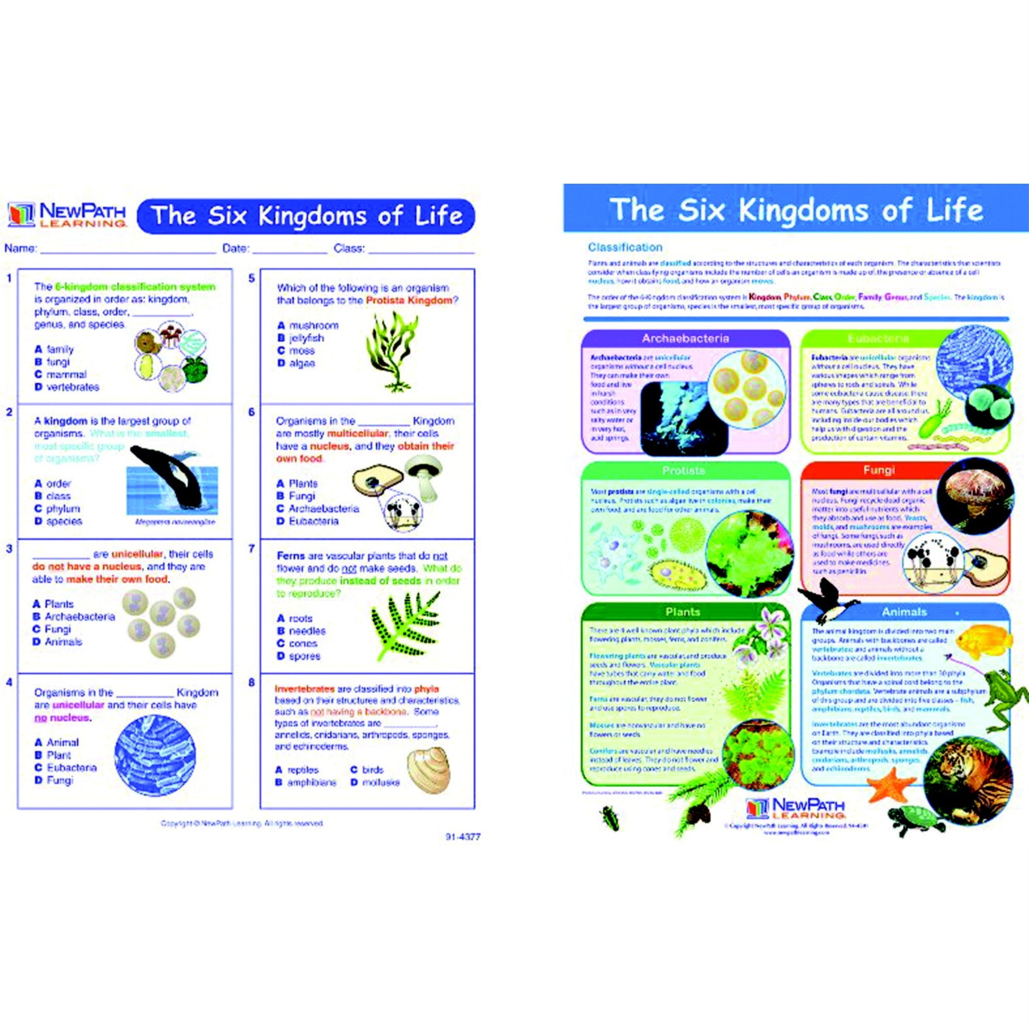 Newpath Six Kingdoms Visual Learning Guides Set, Grades 5-8