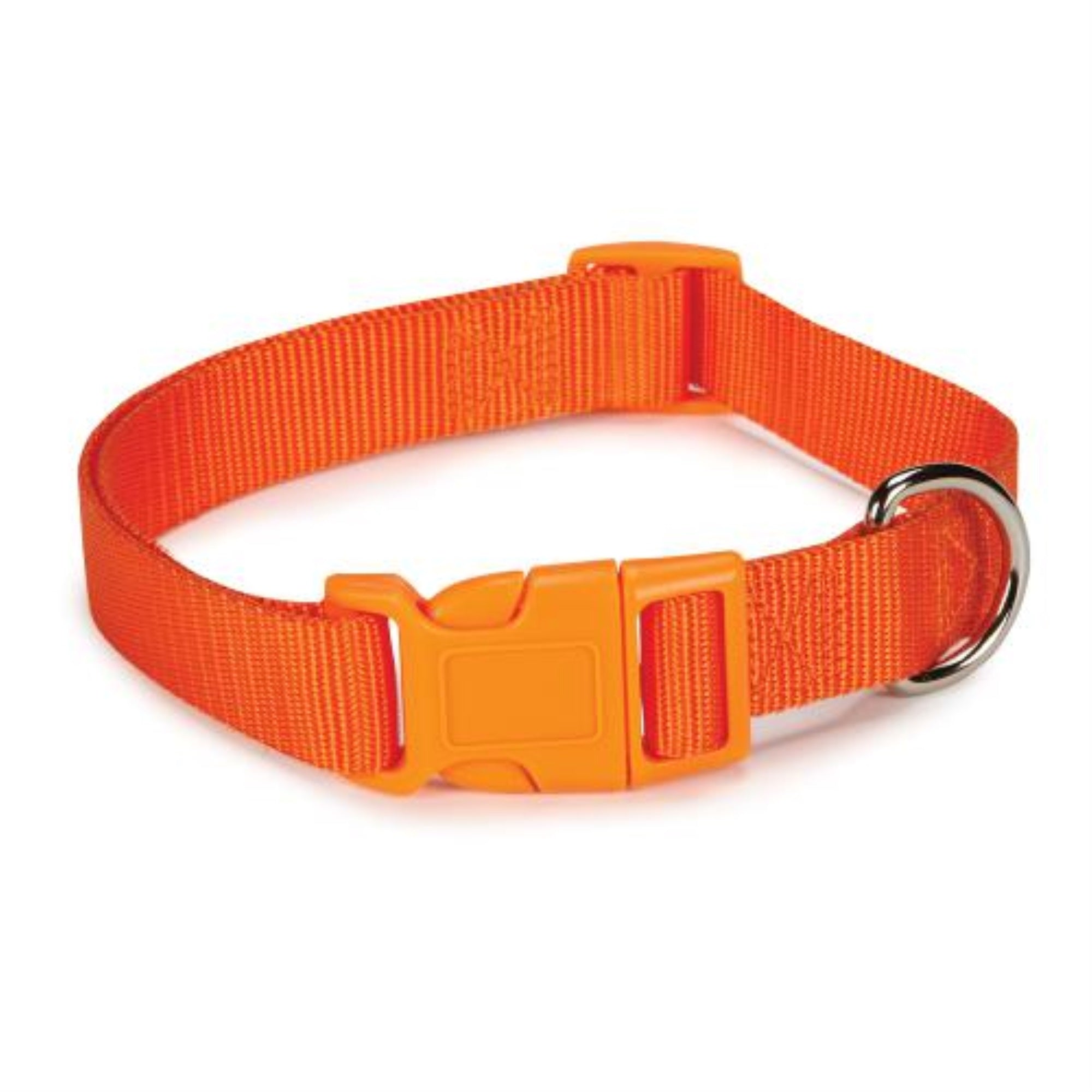 Cc Dog Collar 14-20In Orange