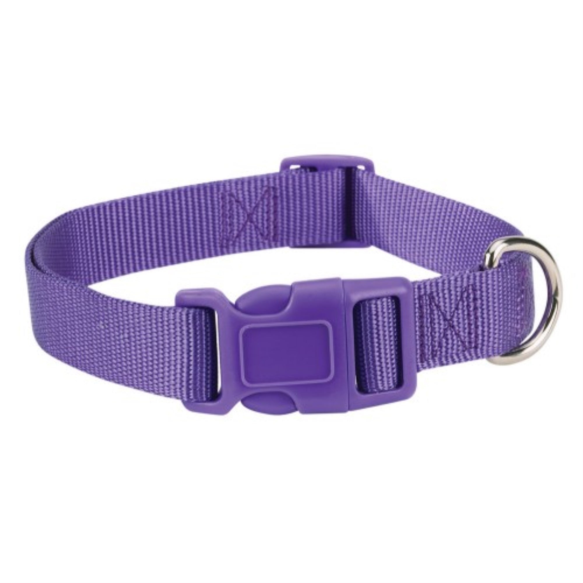 Cc Dog Collar 14-20In Purple