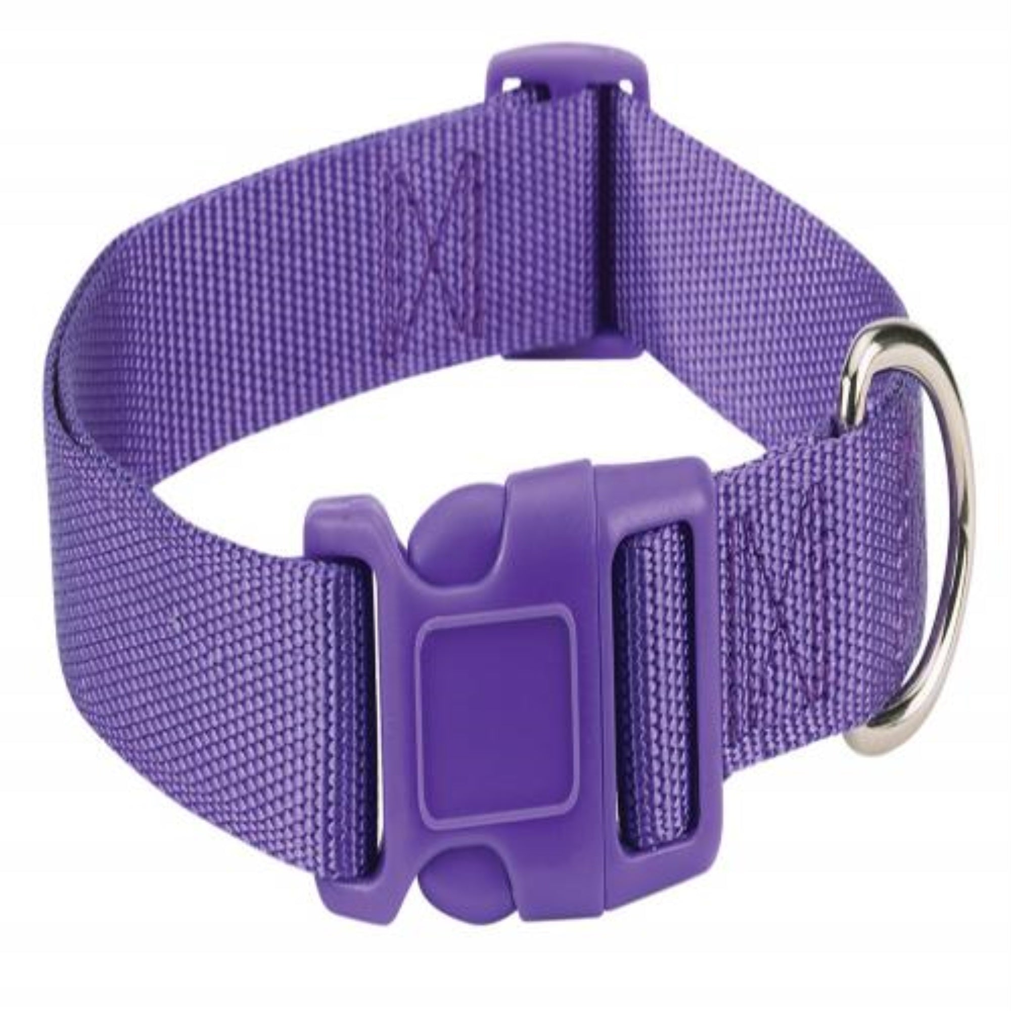 Cc Dog Collar 6-10In Purple