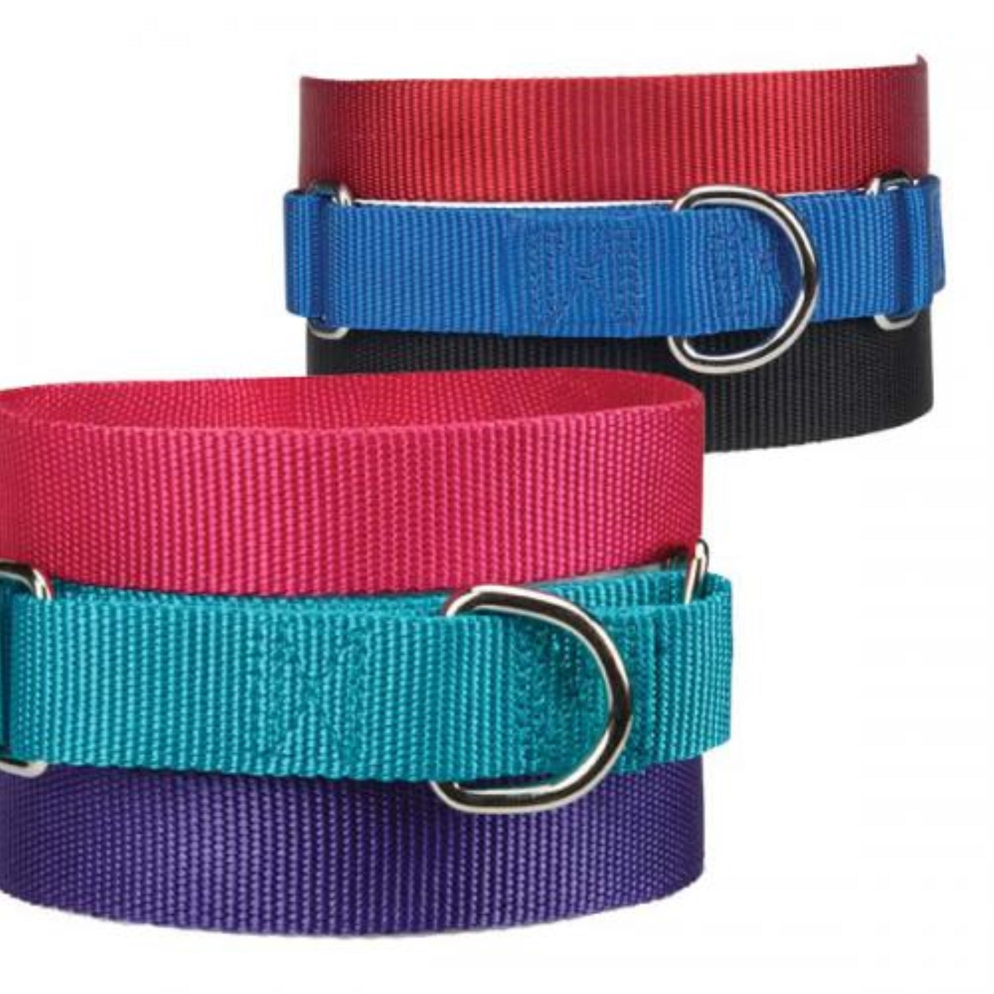 Gg Nylon Martingale Collar 10-16In Raspberry