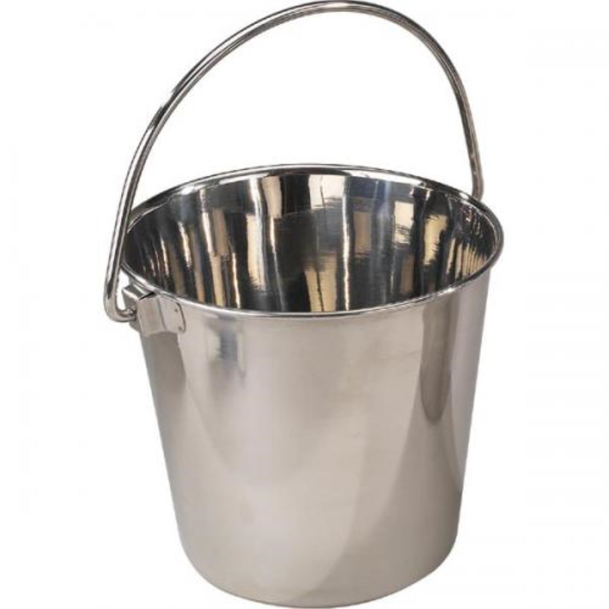 Proselect Heavy Duty Ss Pail 6Qt