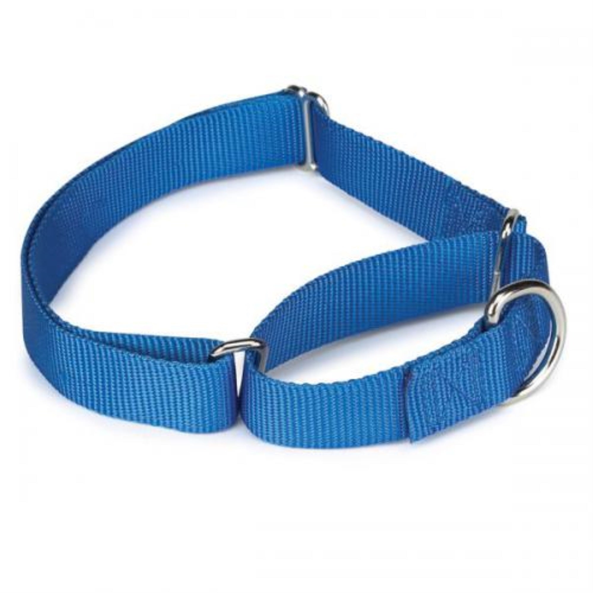 Gg Nylon Martingale Collar 18-26In Blue
