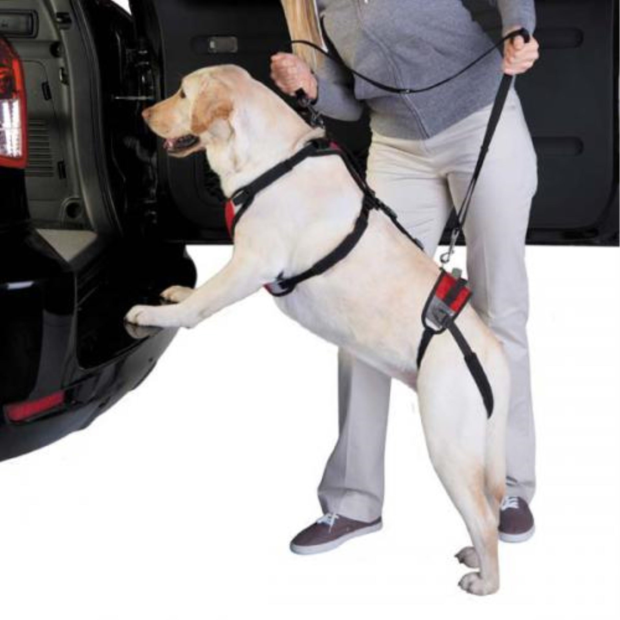 Total Pet Health Lift & Go Lead Large Red