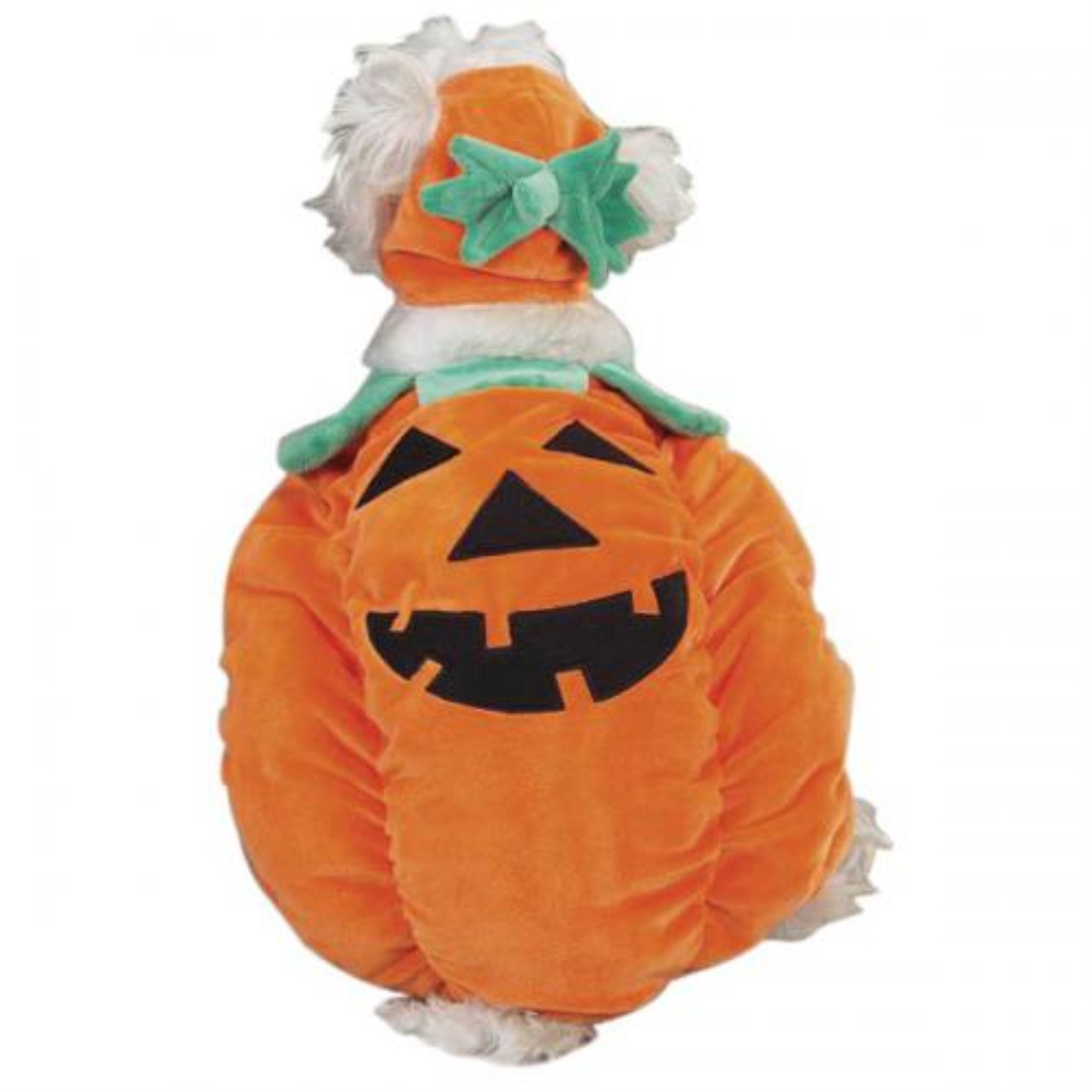 Zack & Zoey Pumpkin Pooch Costume Large