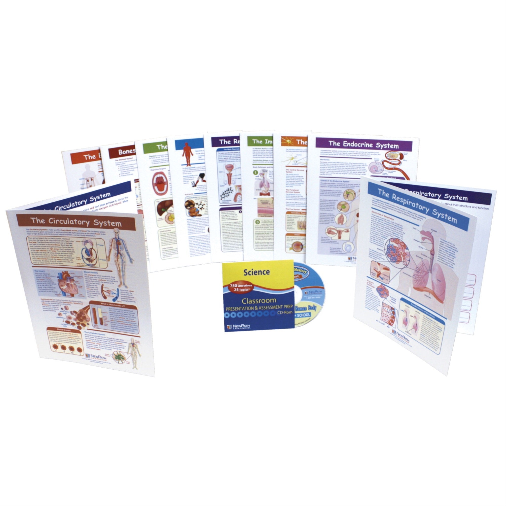 Newpath Learning Human Body Visual Learning Guide With Cd, Grades 6 - 10, 17 In L X 11 In W