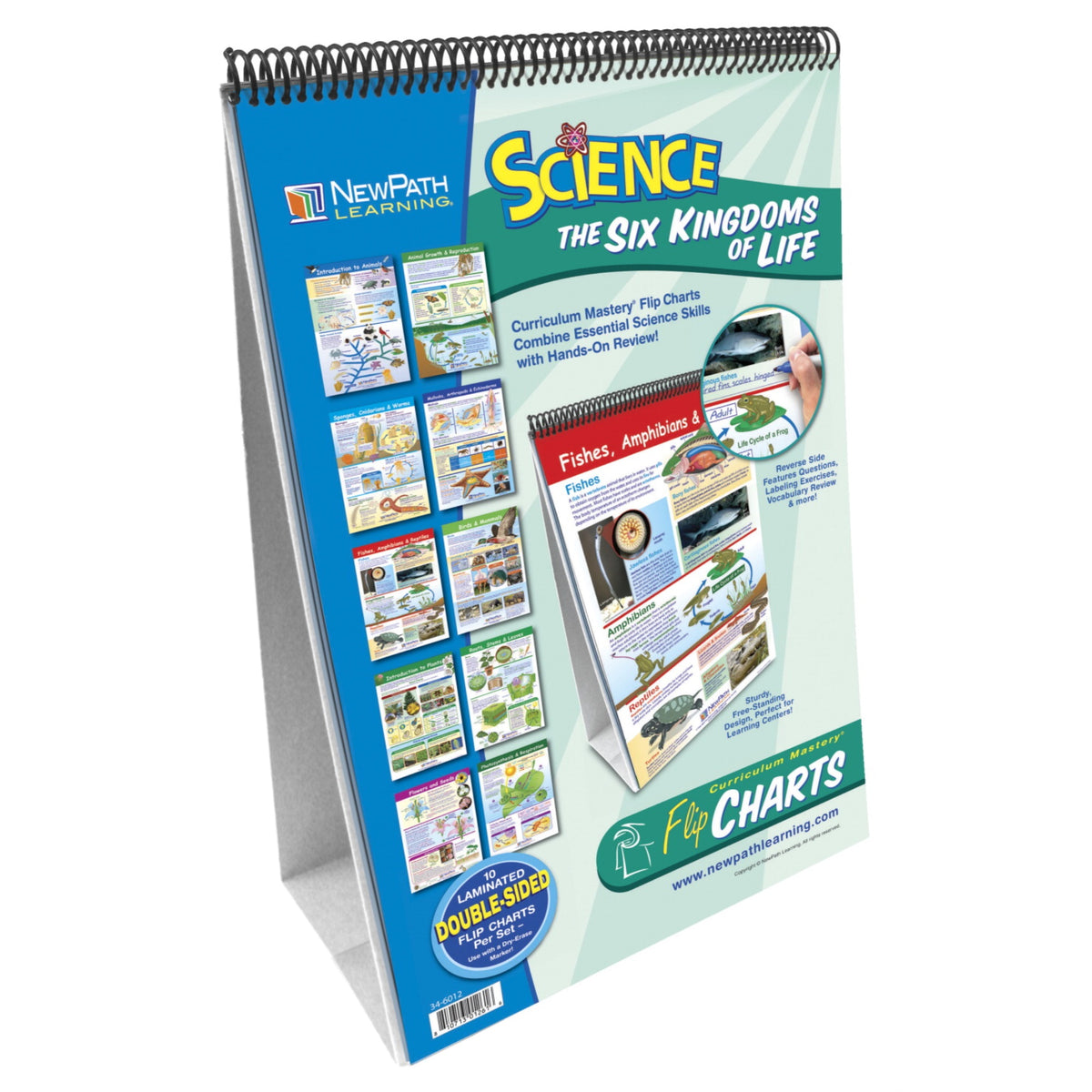 Newpath Learning Six Kingdoms Of Life Double Sided Laminated Learning Flip Chart, 12 L X 18 W In
