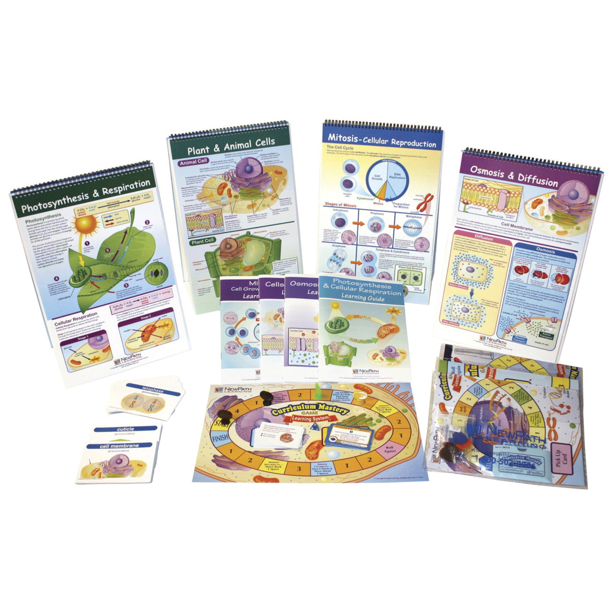 Newpath From Molecules To Organisms Skill Builder Kit