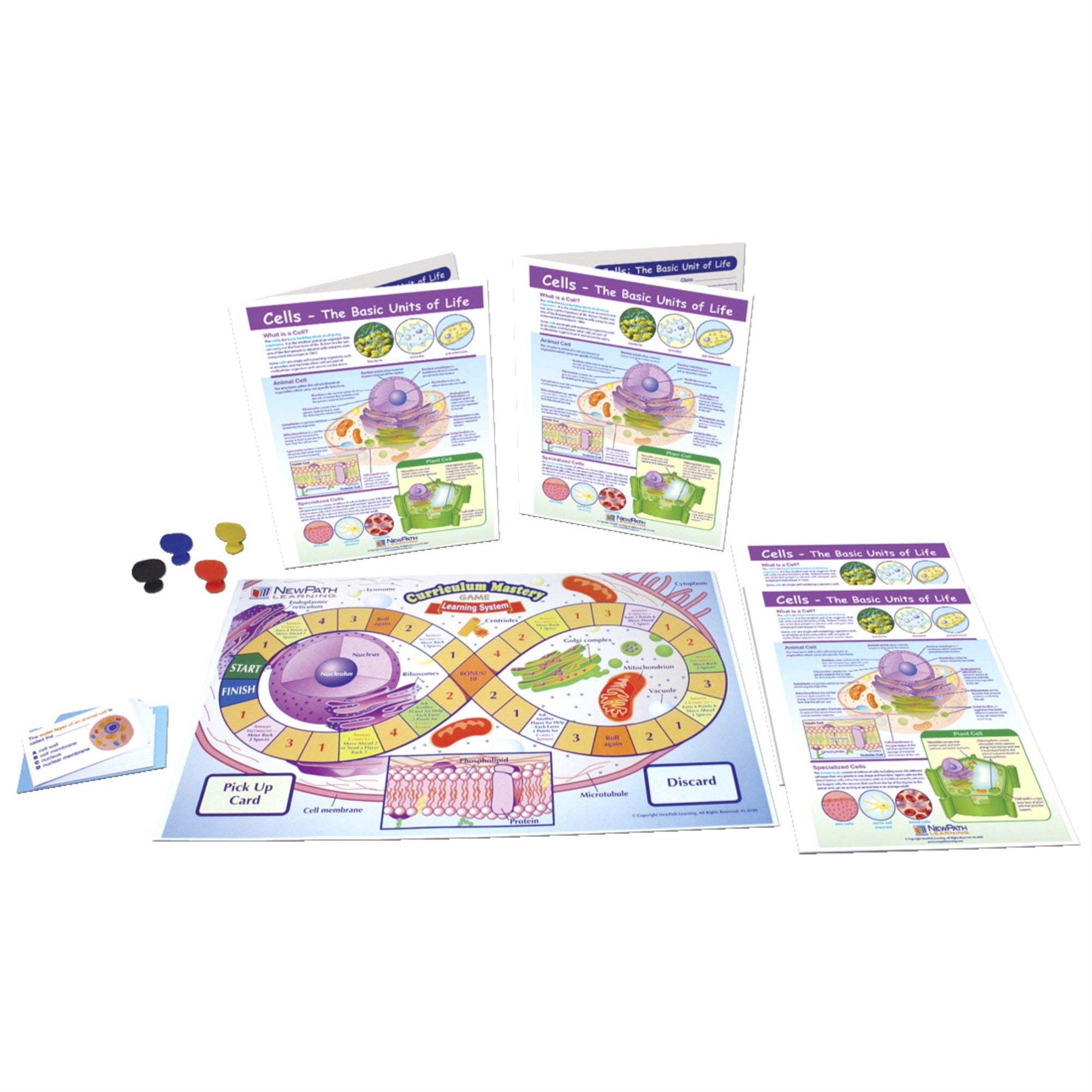 Newpath Cells-The Basic Units Of Life