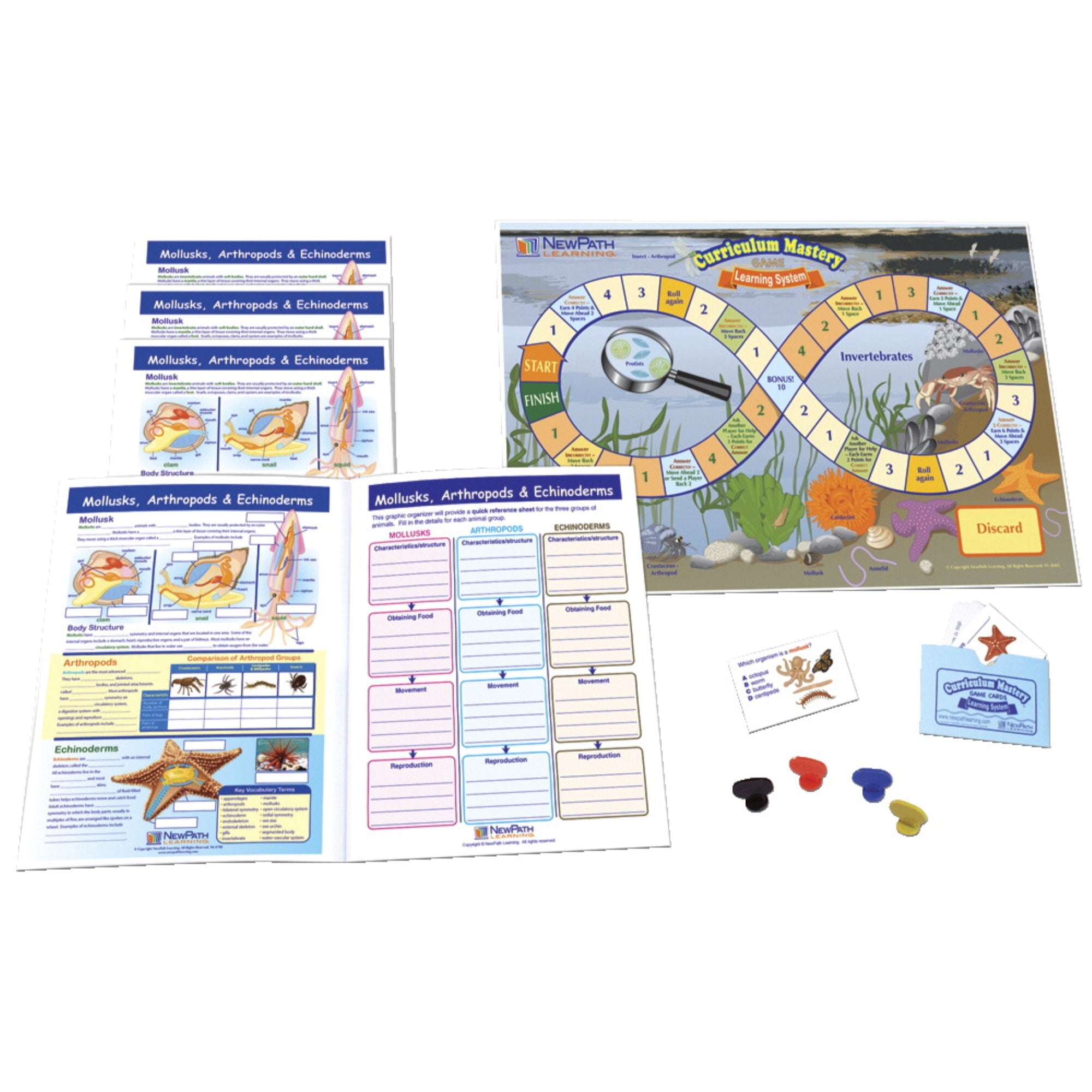 Newpath Mollusks, Arthropods And Echinoderms Learning Center, Grades 6 To 8