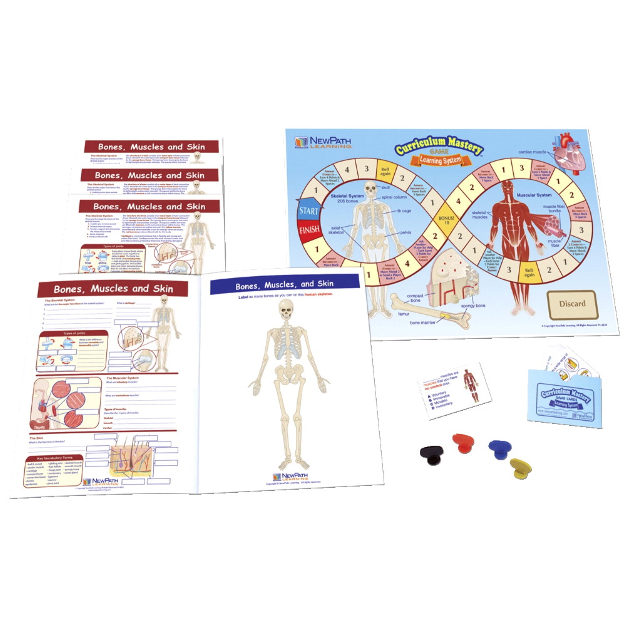 Newpath Bones, Muscles And Skin Learning Center, Grades 6 To 8