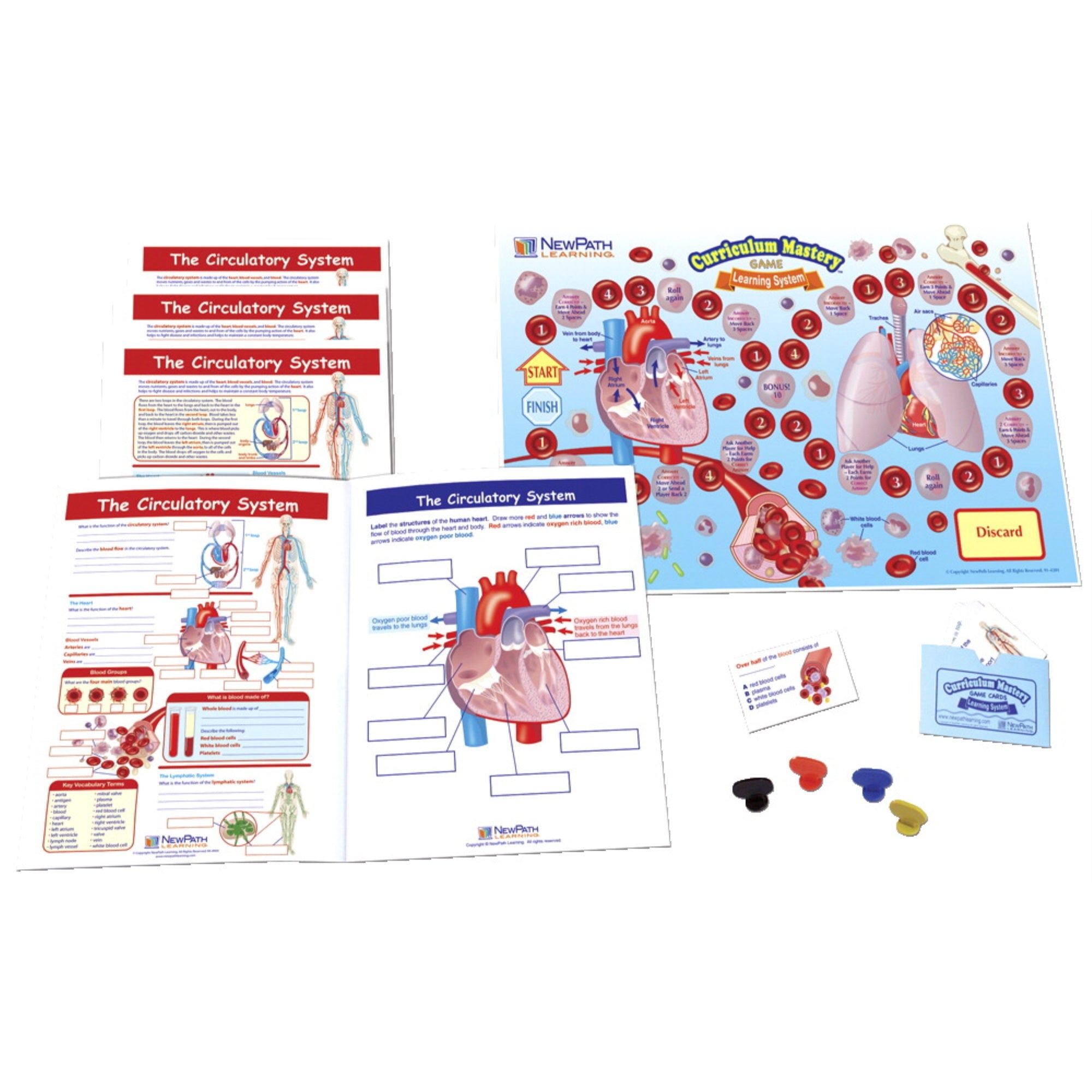 Newpath The Circulatory System Learning Center, Grades 6 To 8