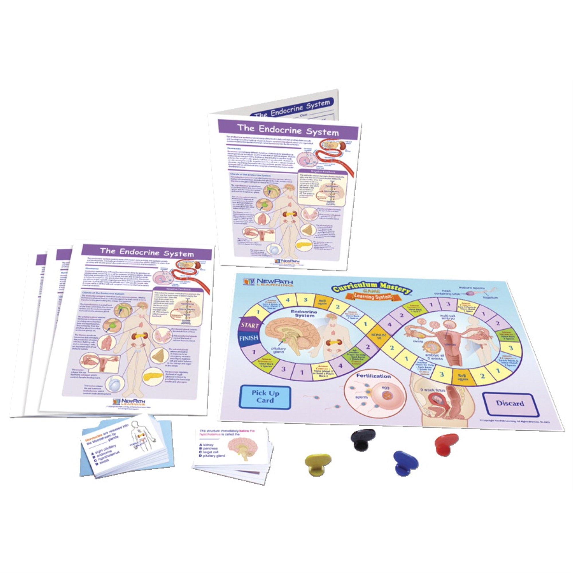 Newpath The Endocrine System Learning Center, Grades 6 To 8