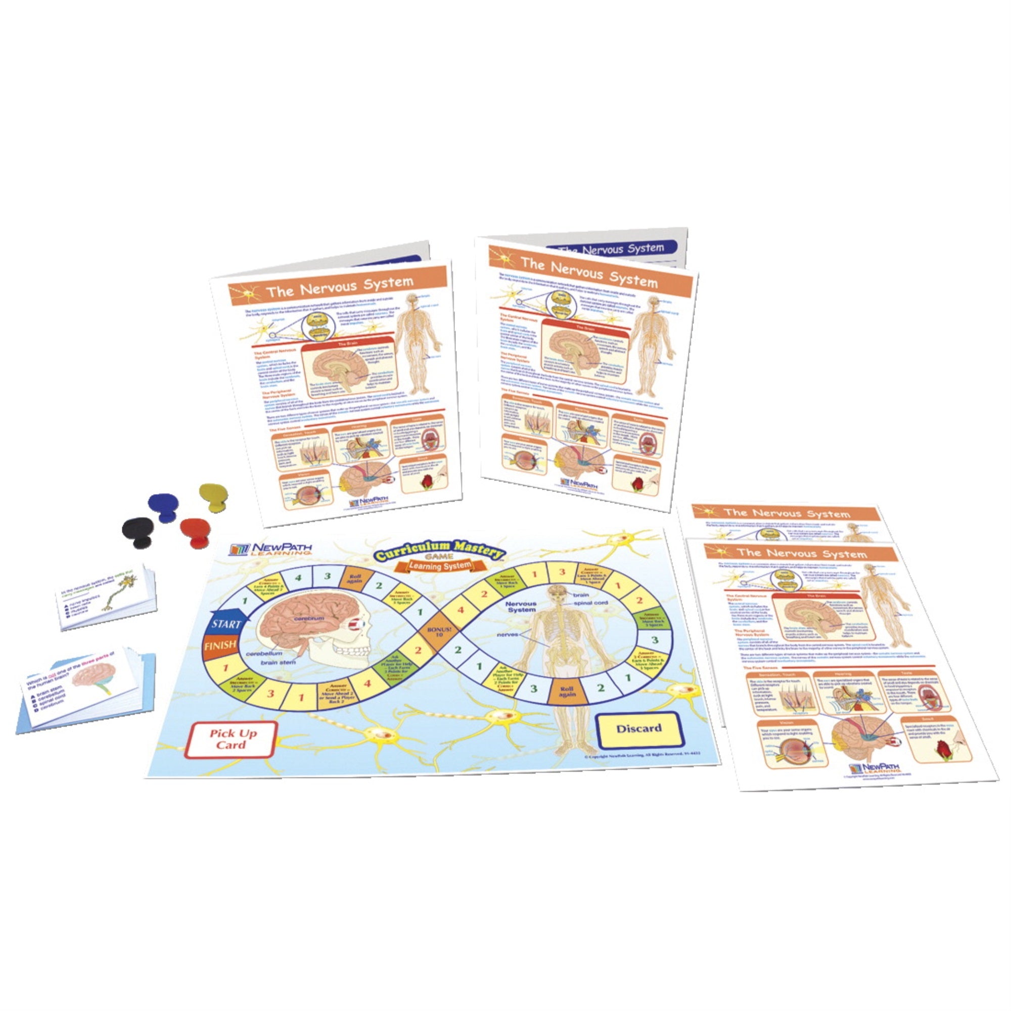 Newpath The Nervous System Learning Center, Grades 6 To 8