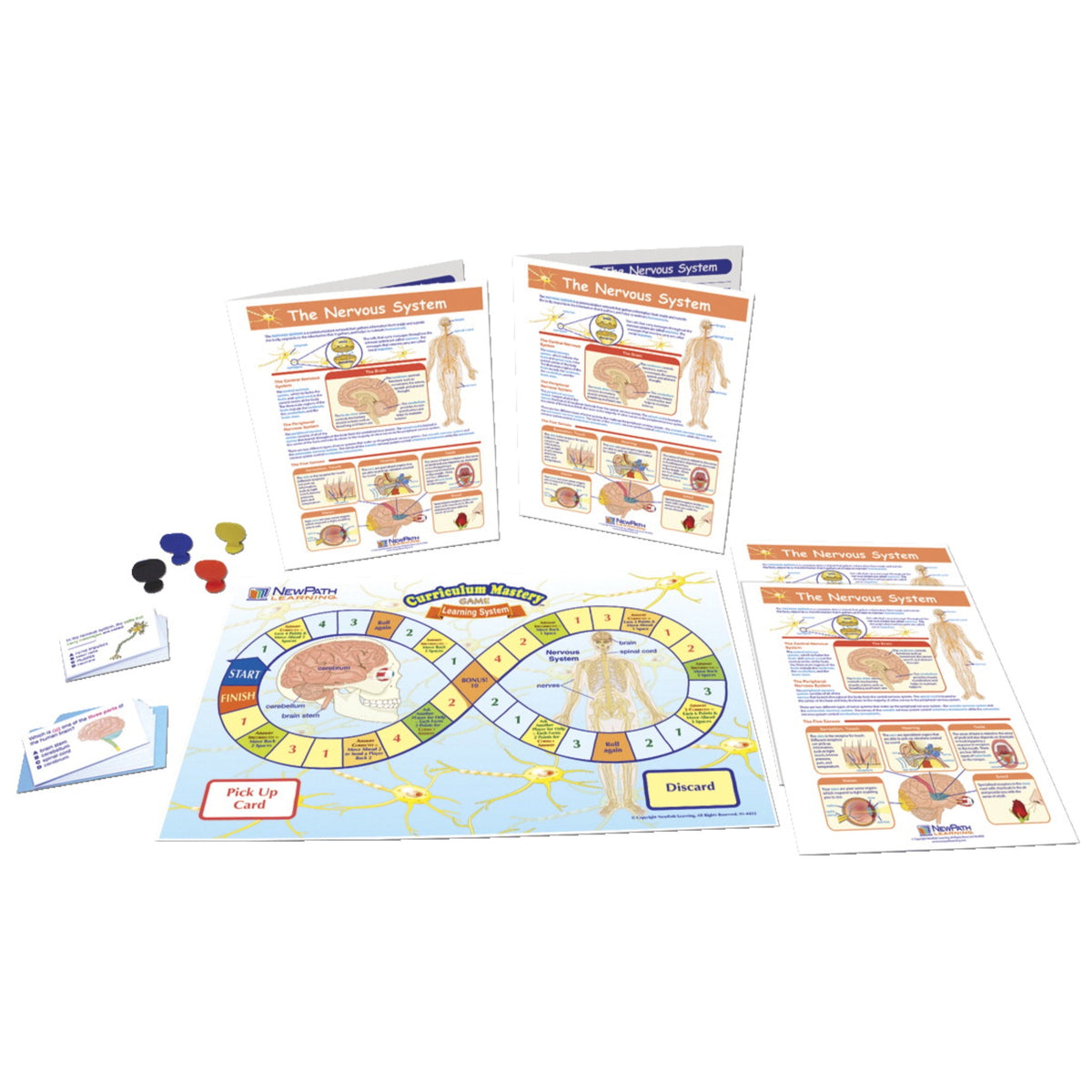 Newpath The Nervous System Learning Center, Grades 6 To 8