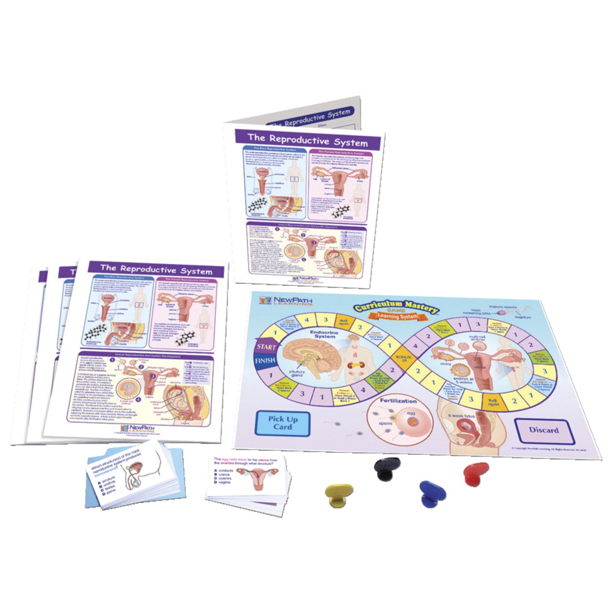 Newpath The Reproductive System Learning Center, Grades 6 To 8