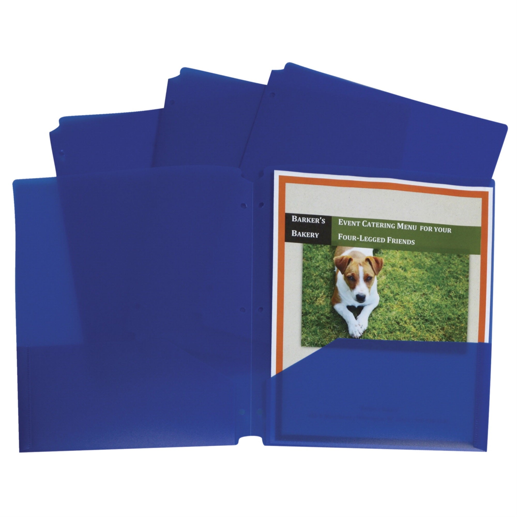 C-Line Poly Portfolio Folder, 3-Hole Punch, 2-Pocket, Blue, Pack Of 25