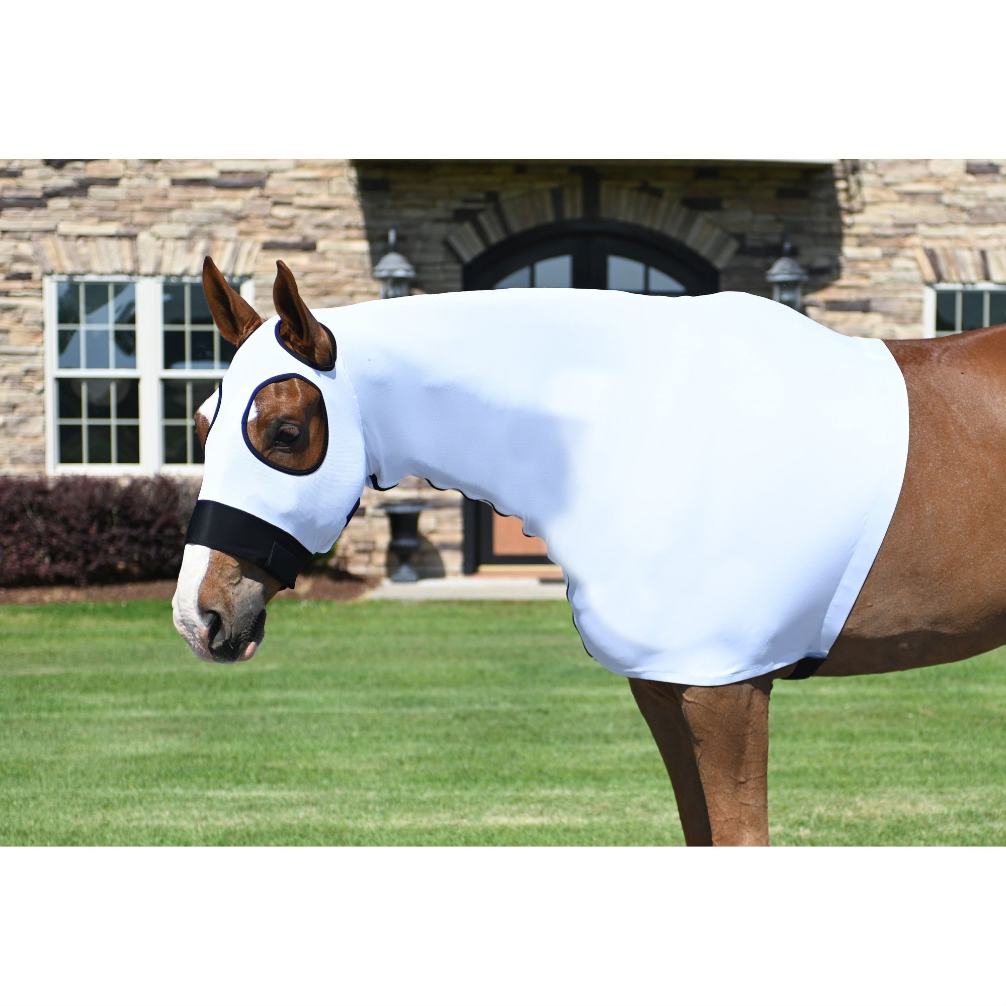 Gatsby Stretchy Mesh Slicker Hood With Zipper