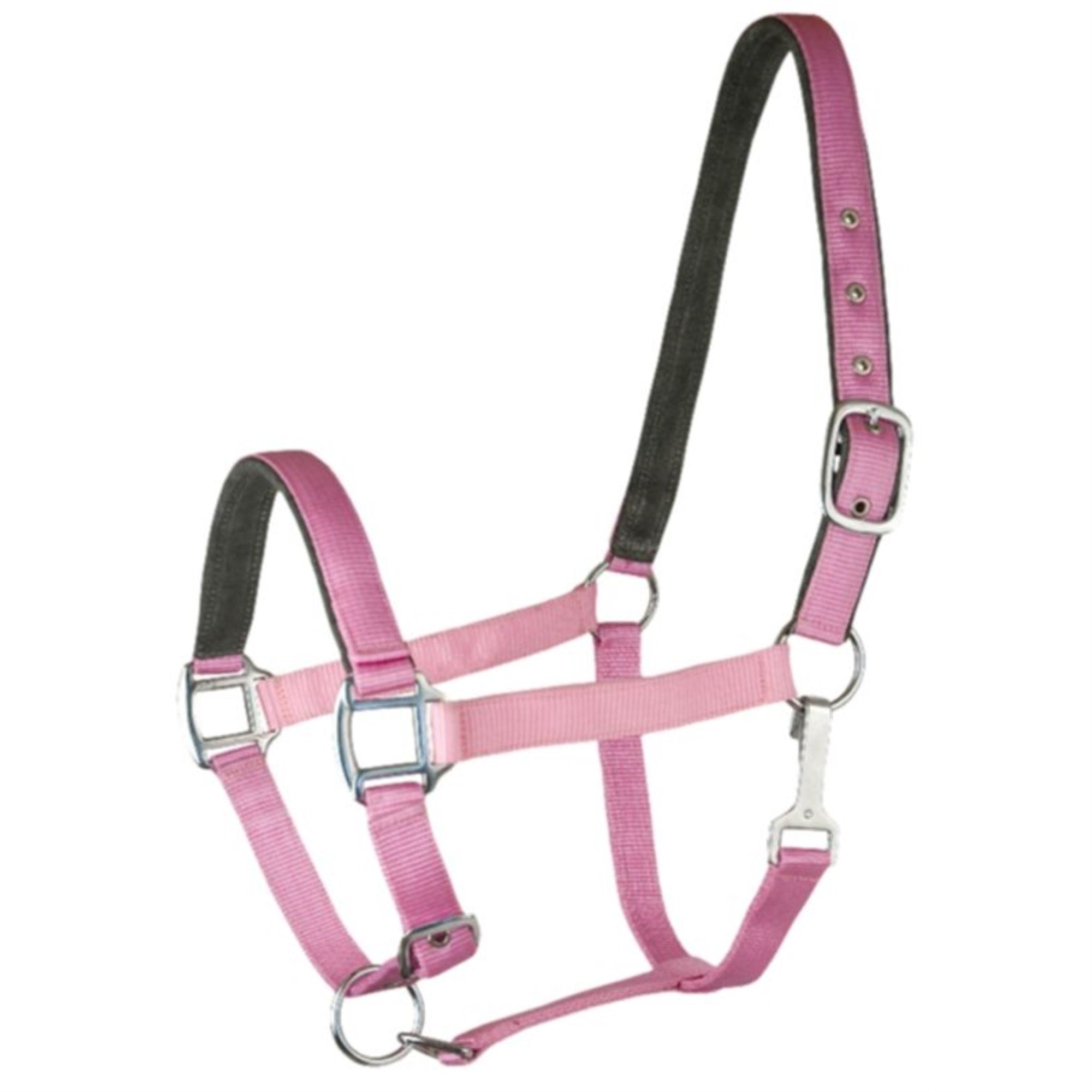 Gatsby Suede Padded Nylon Halter