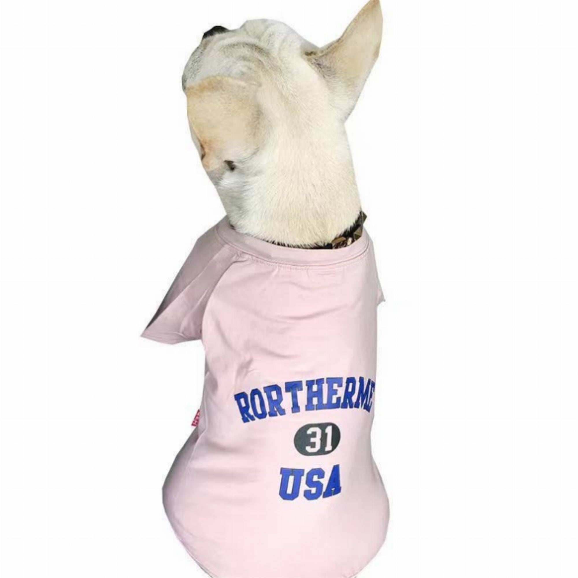Usa - Matching Pet And Owner Clothing Set