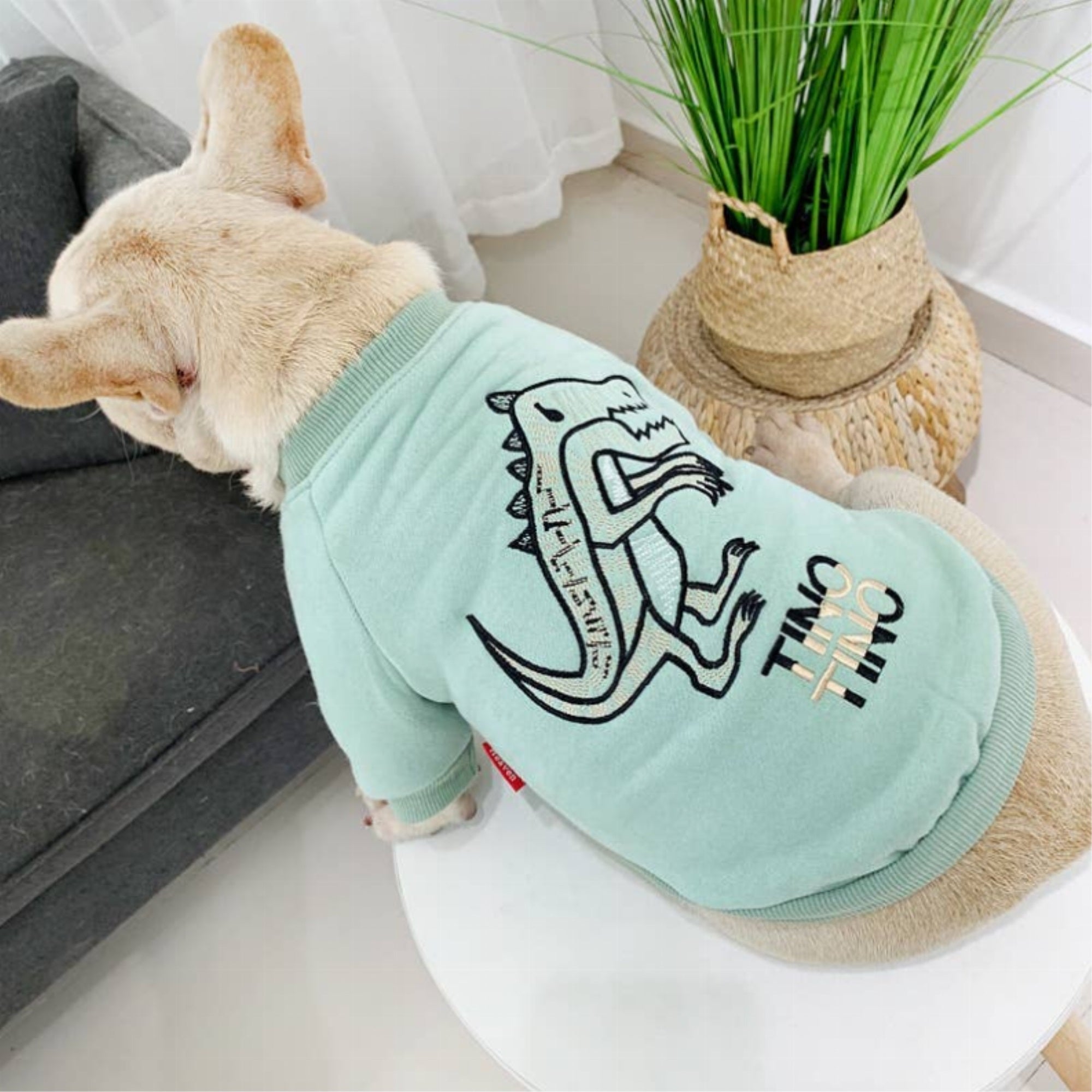 Dinosaur Love - Matching Pet And Owner Clothing Set