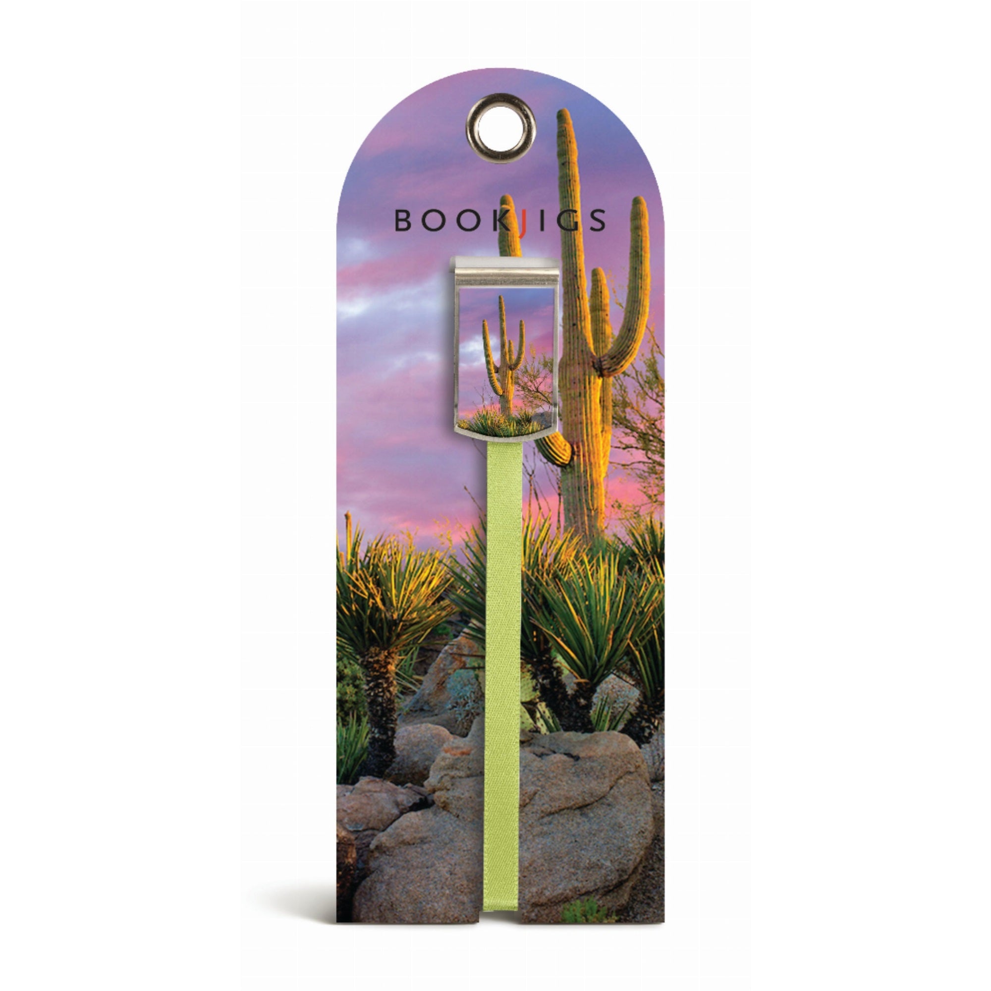 Cactus At Sunset - Bookjig