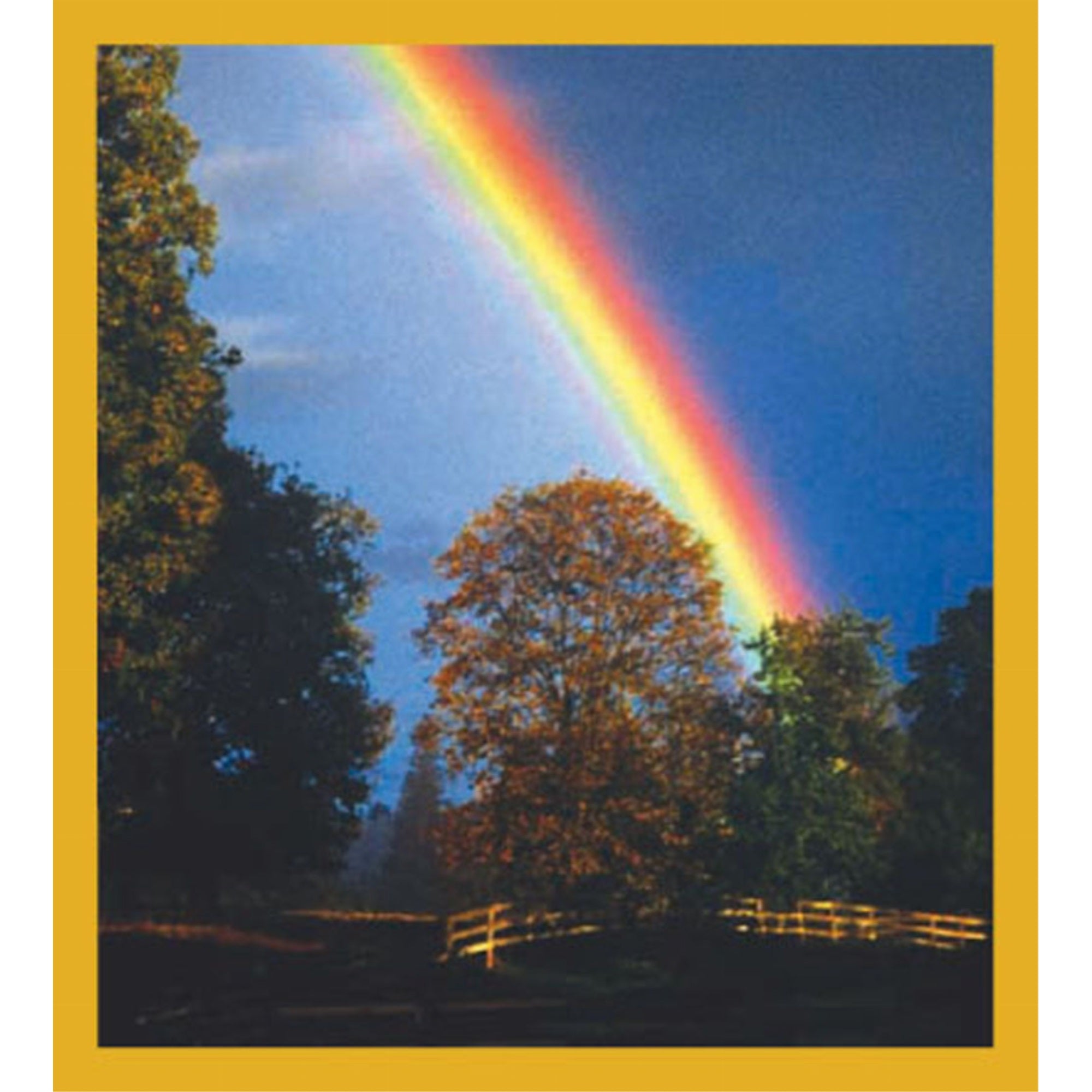 Rainbow - Magnetic Bookmark