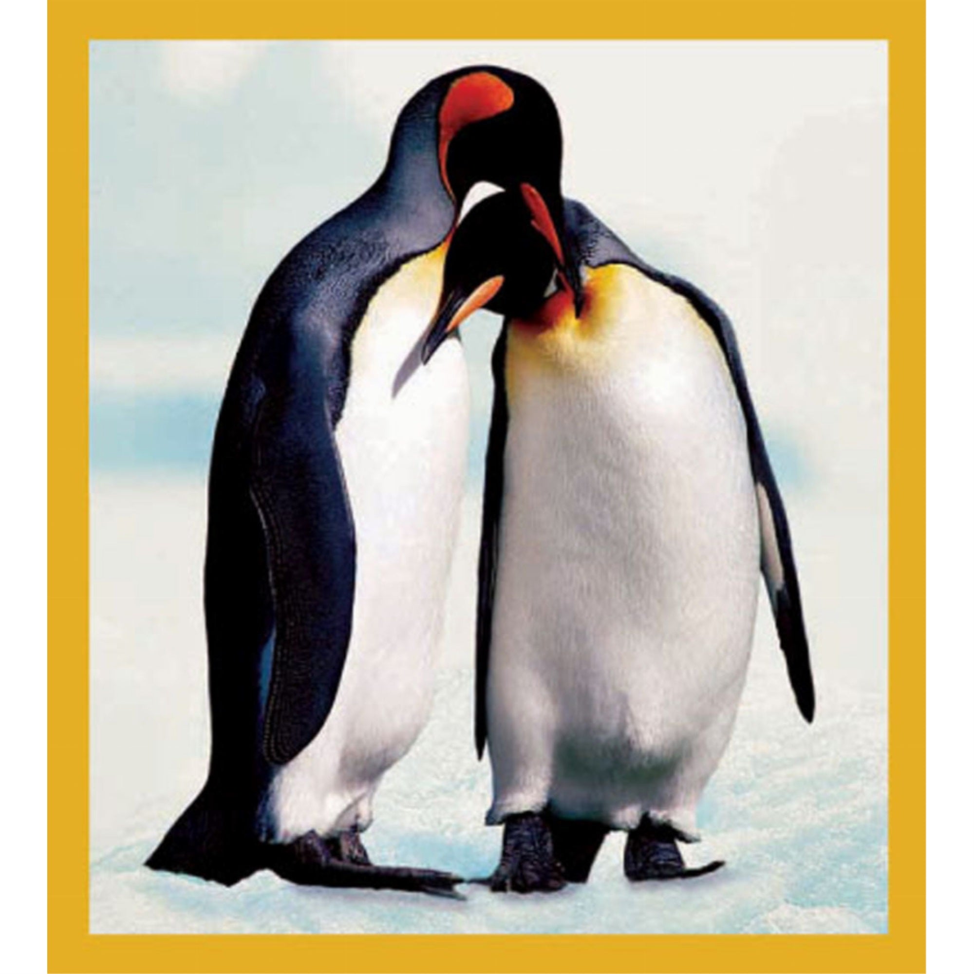 Penguins - Magnetic Bookmark