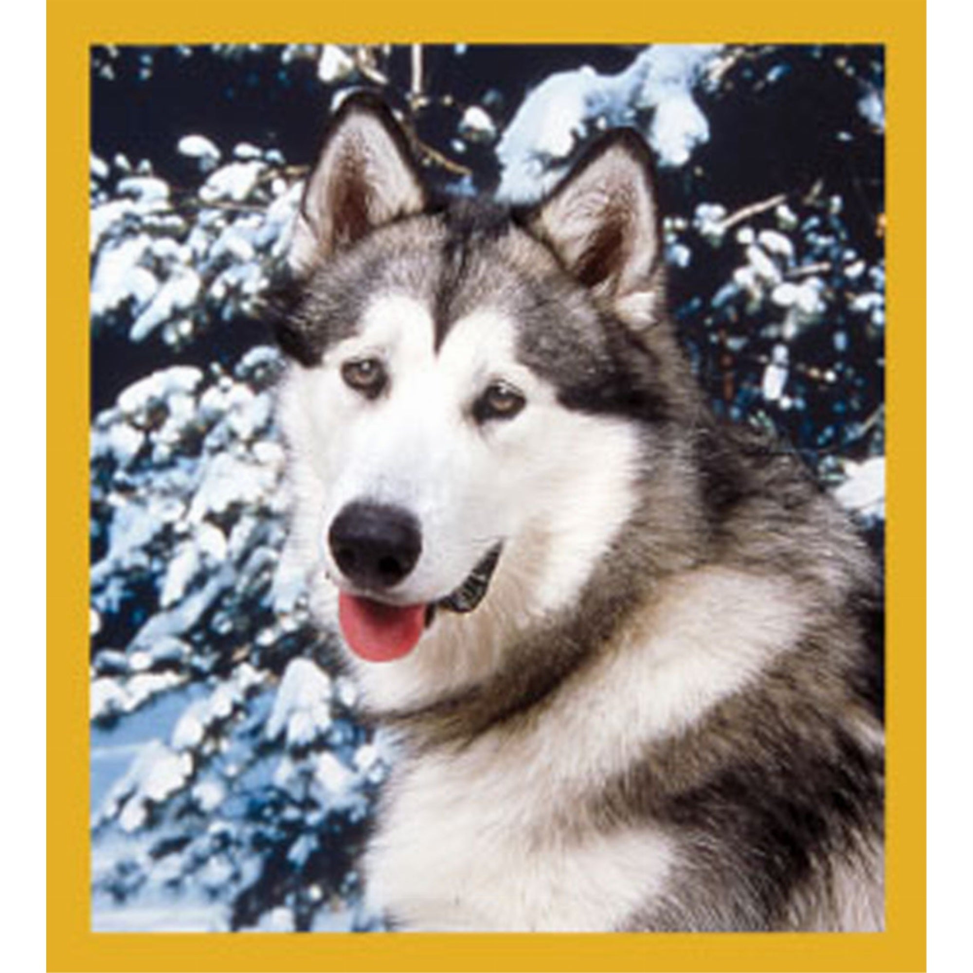 Malamut - Magnetic Bookmark