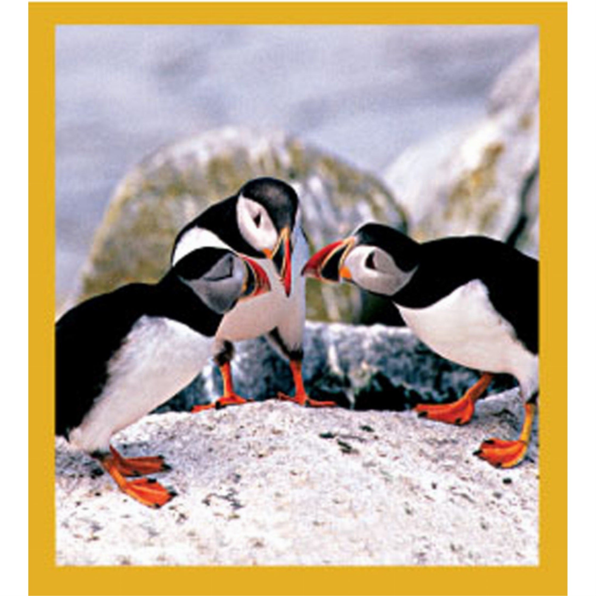 Puffin'S Chat - Magnetic Bookmark