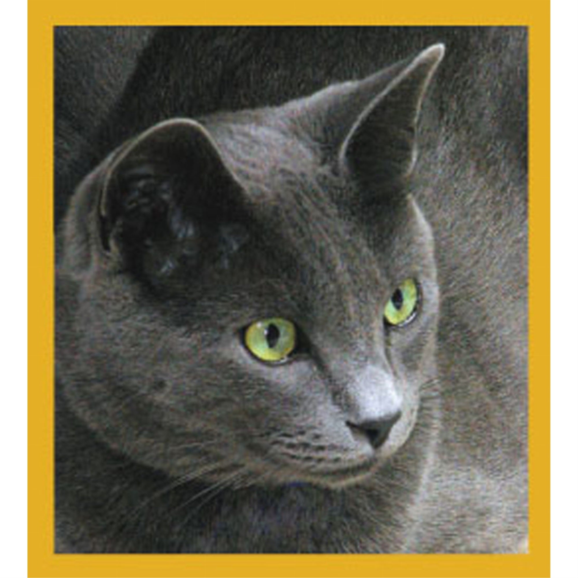 Borris (Russian Blue) - Magnetic Bookmark