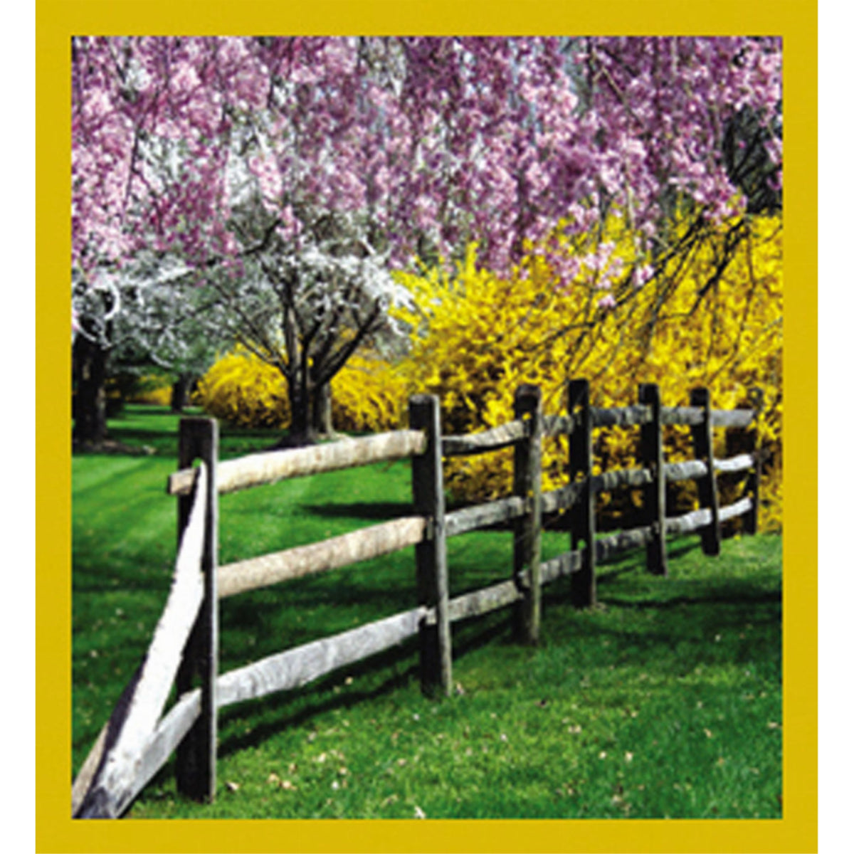 Spring Has Sprung - Magnetic Bookmark