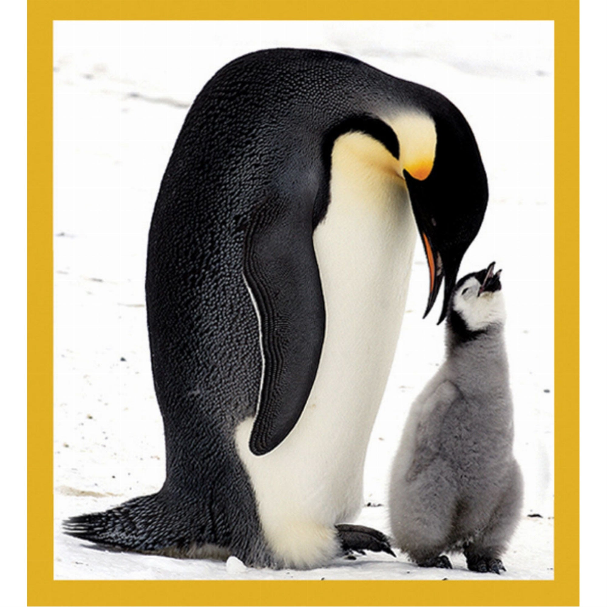 Mom'S Love - Magnetic Bookmark