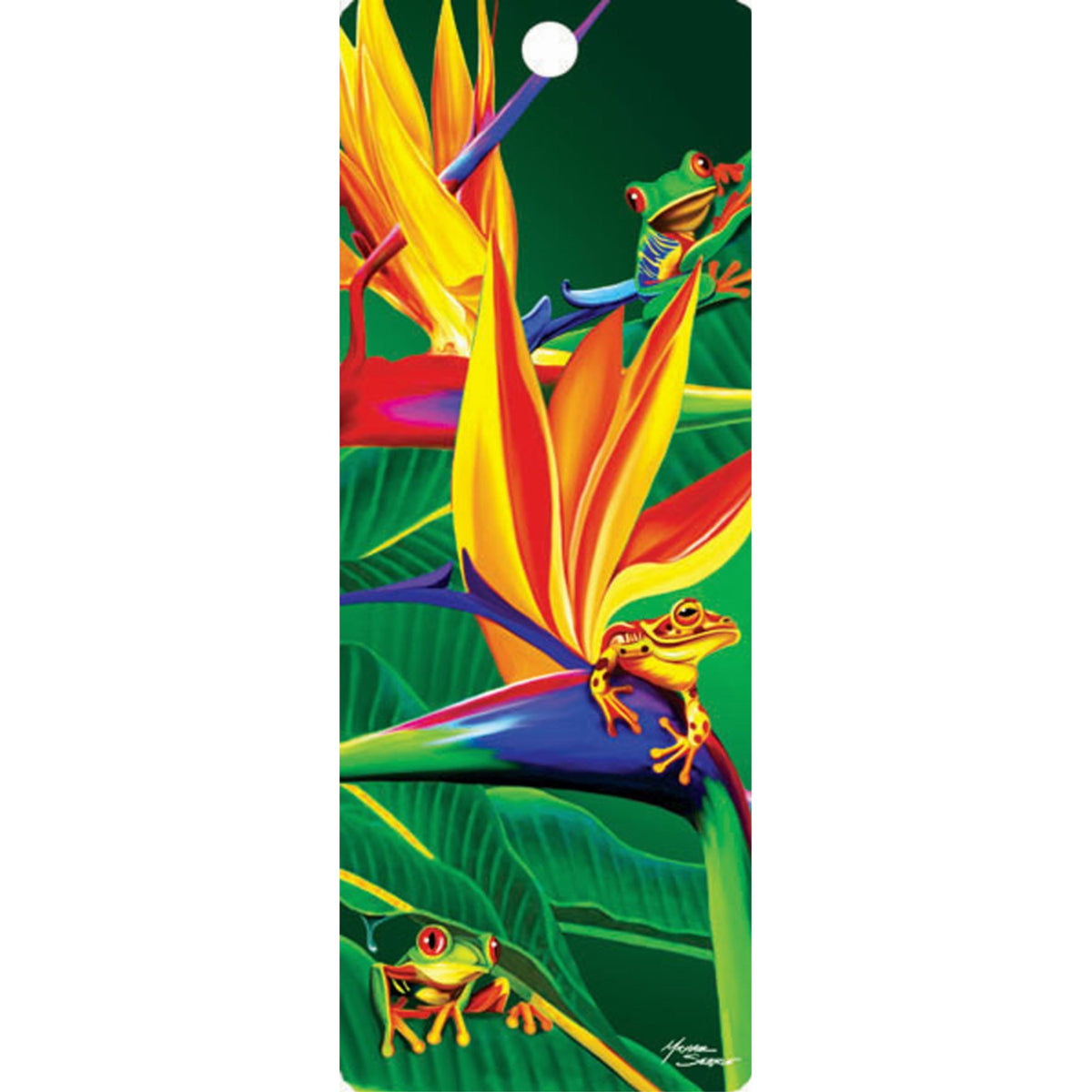 Frogs- Hi Def Bookmark