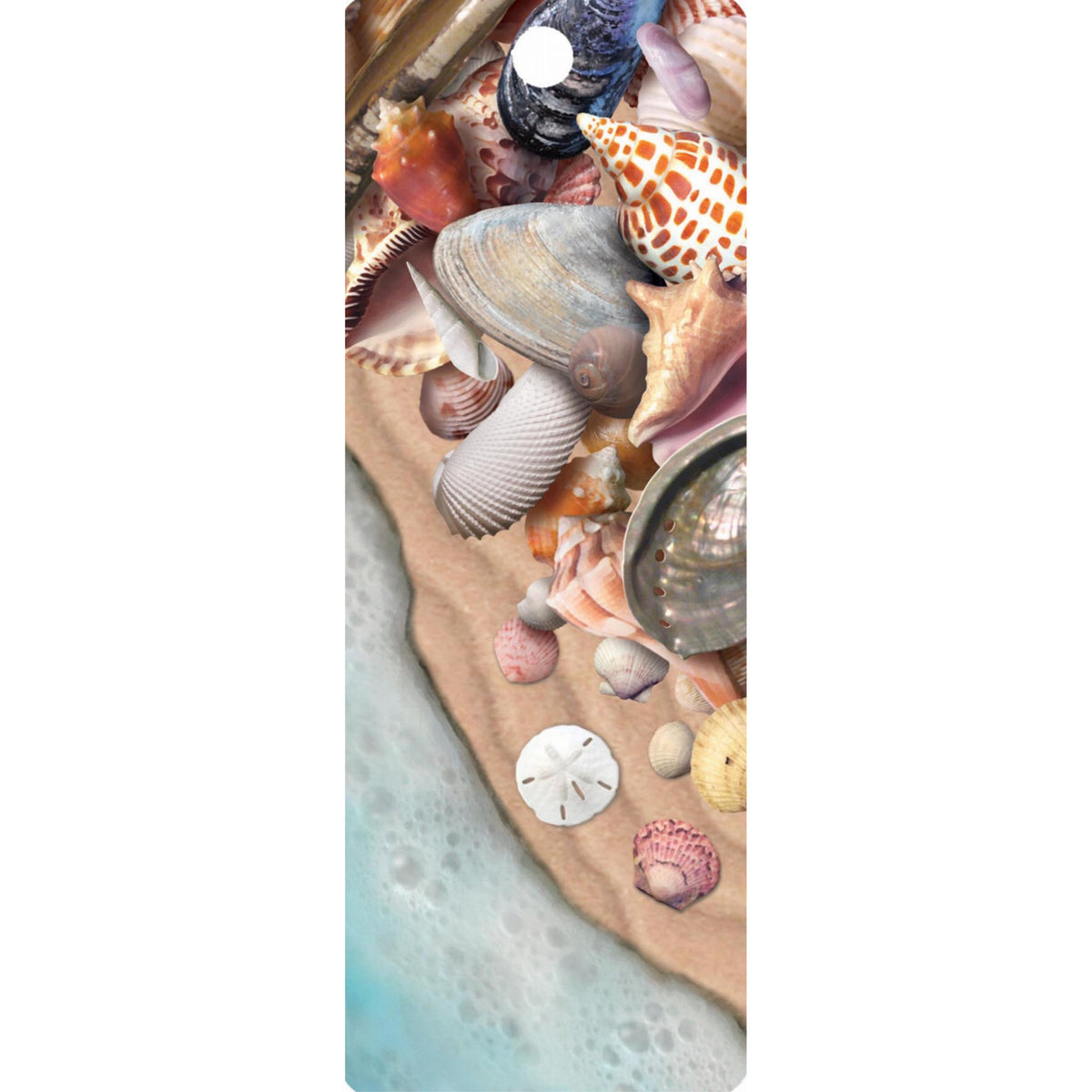 She Sells Sea Shells - Motion Bookmark