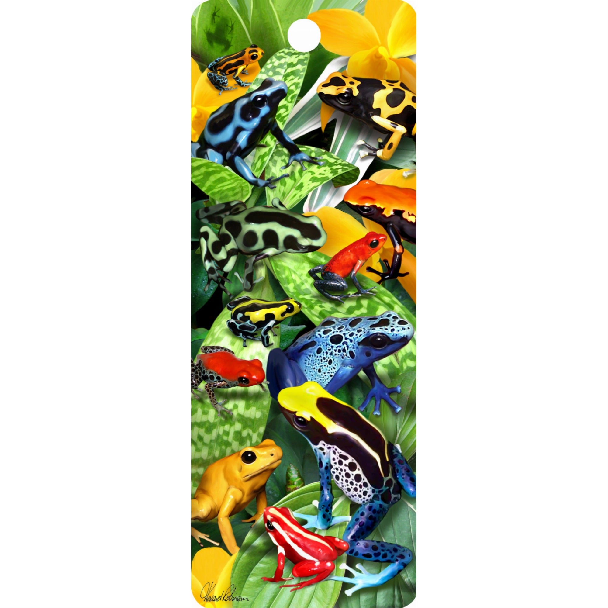 Feeling Froggy - 3D Bookmark