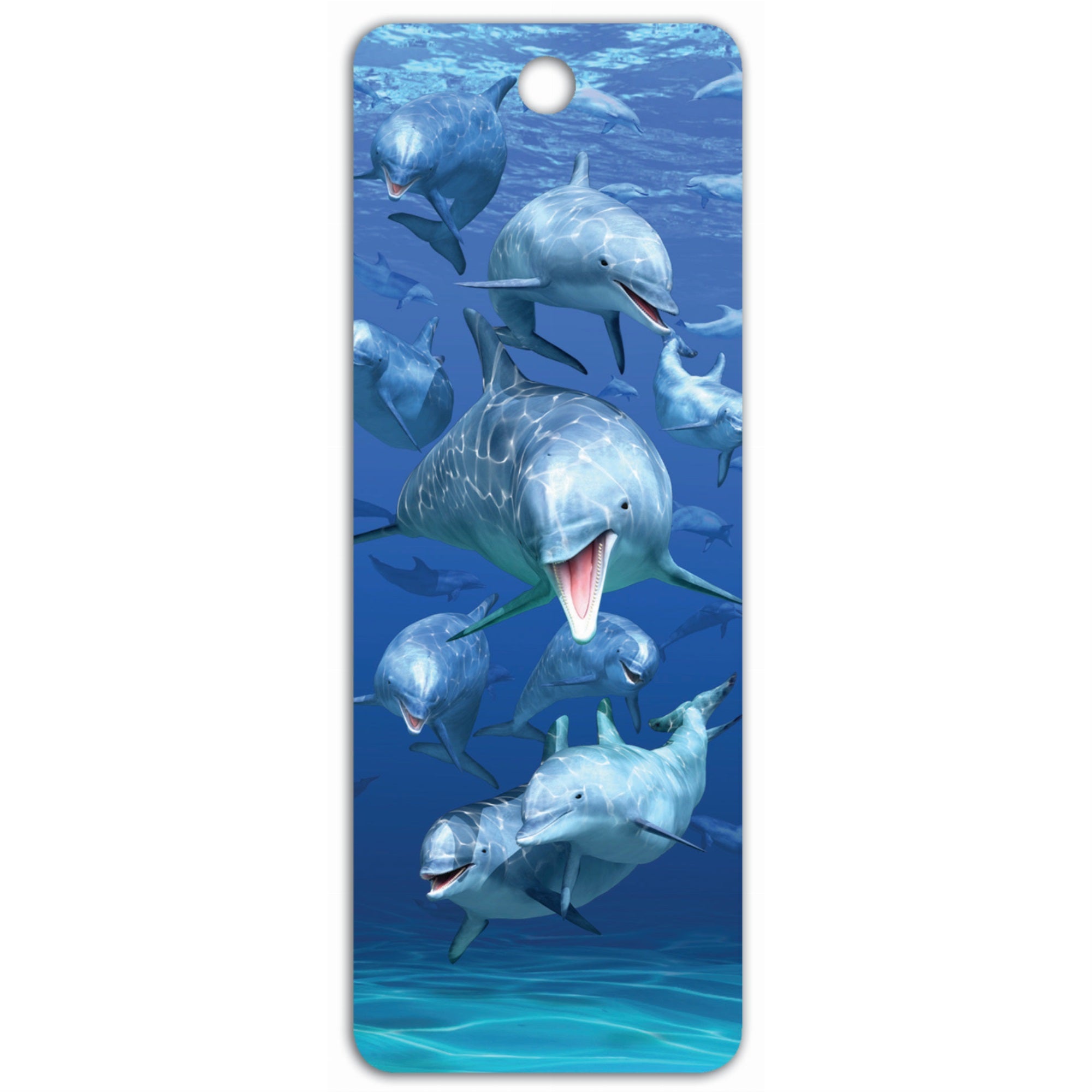 Dolphin School - 3D Bookmark