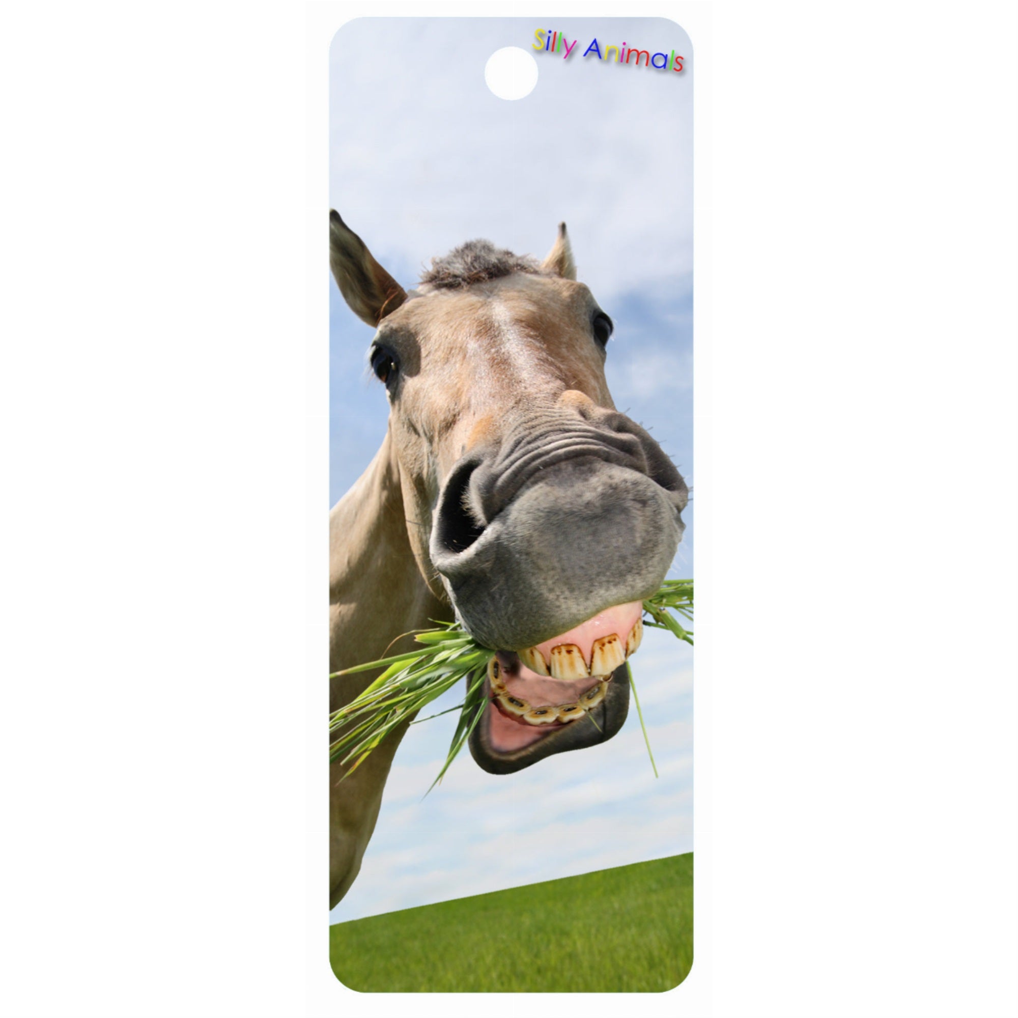 Crazy Horse - 3D Bookmark